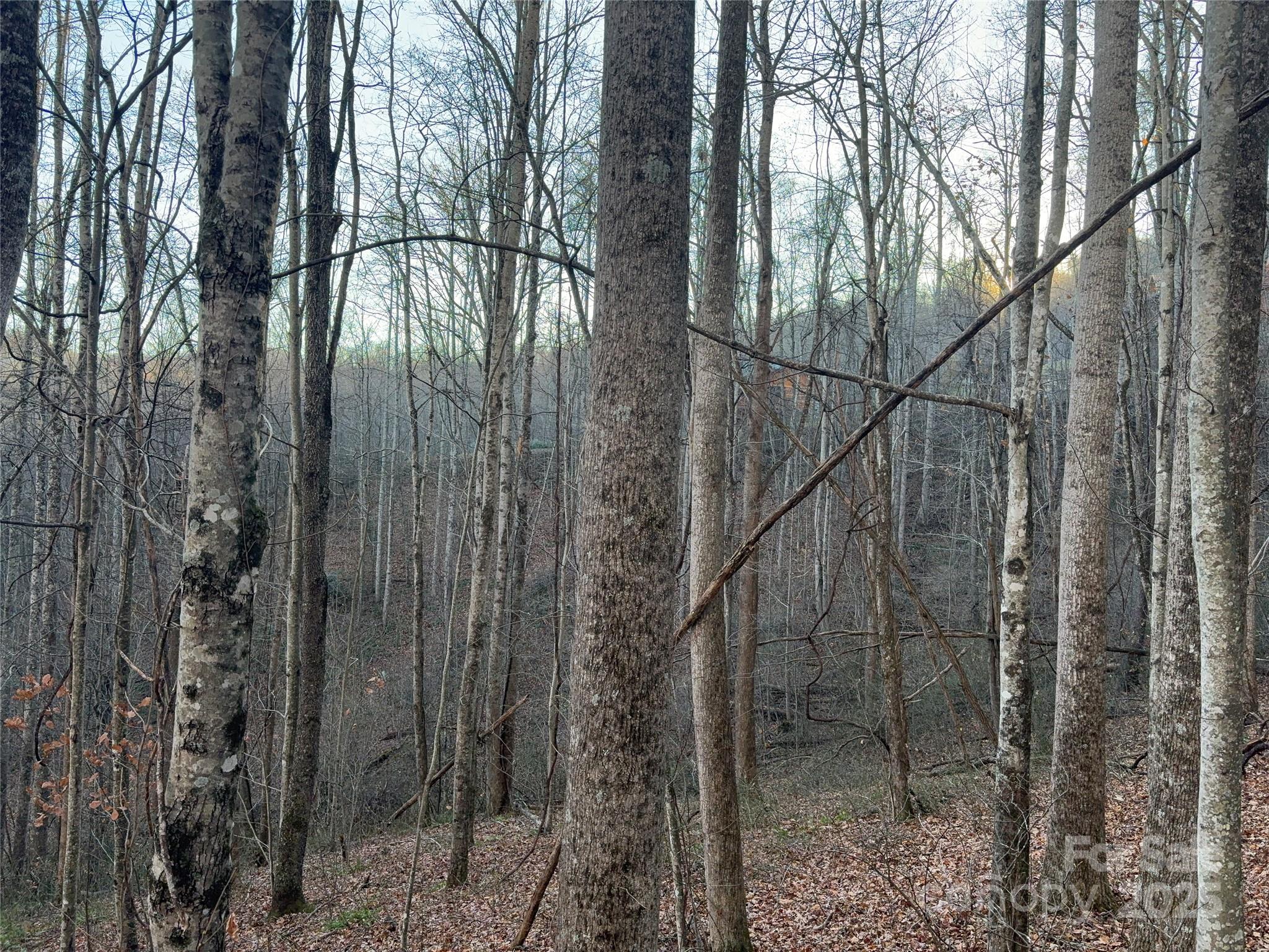 Mountain Watch - Land