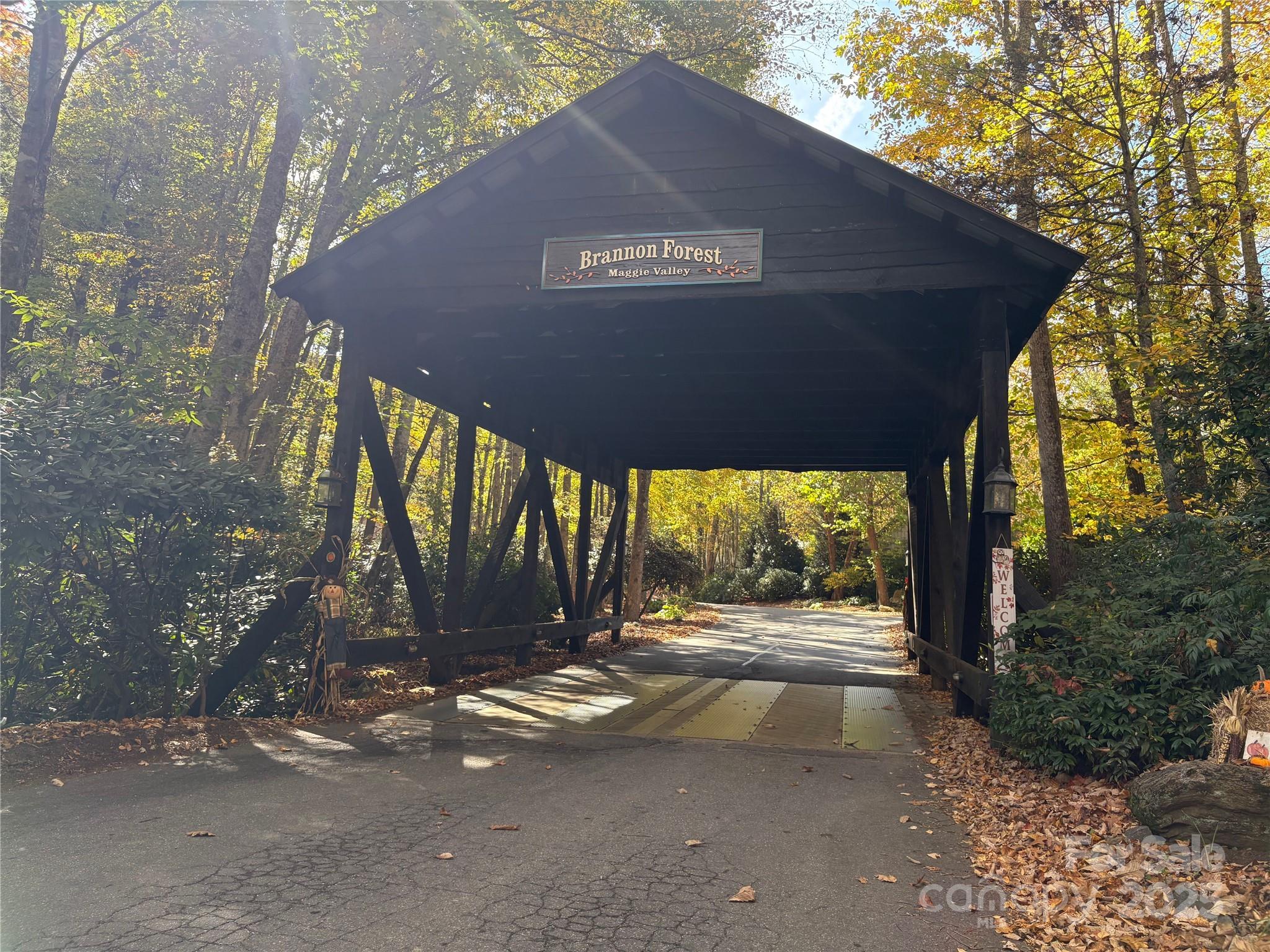 Mountain Watch - Land