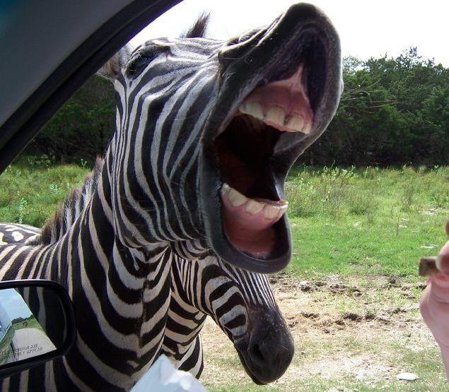 LakeWalk - Residential