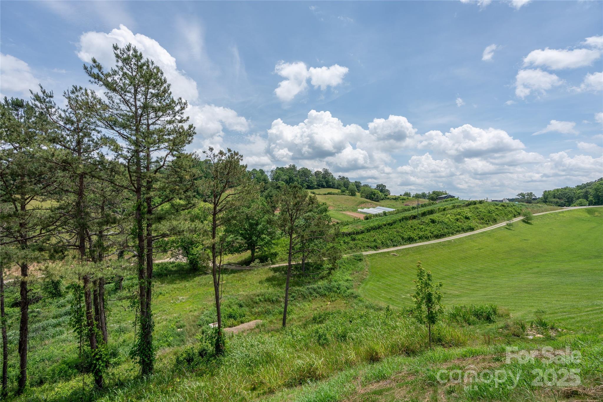 233 Westridge Farm Road 23
