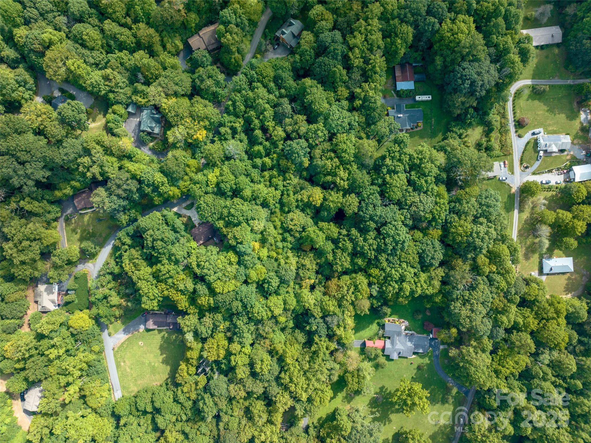 Campbell Woods - Land