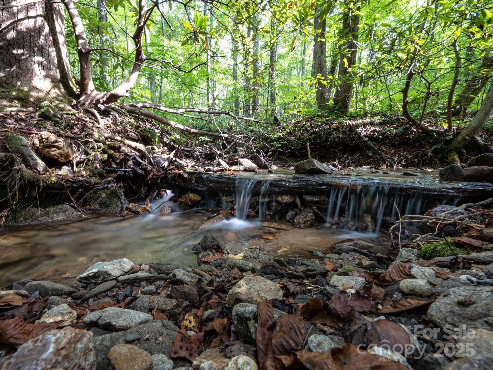 Campbell Woods - Land