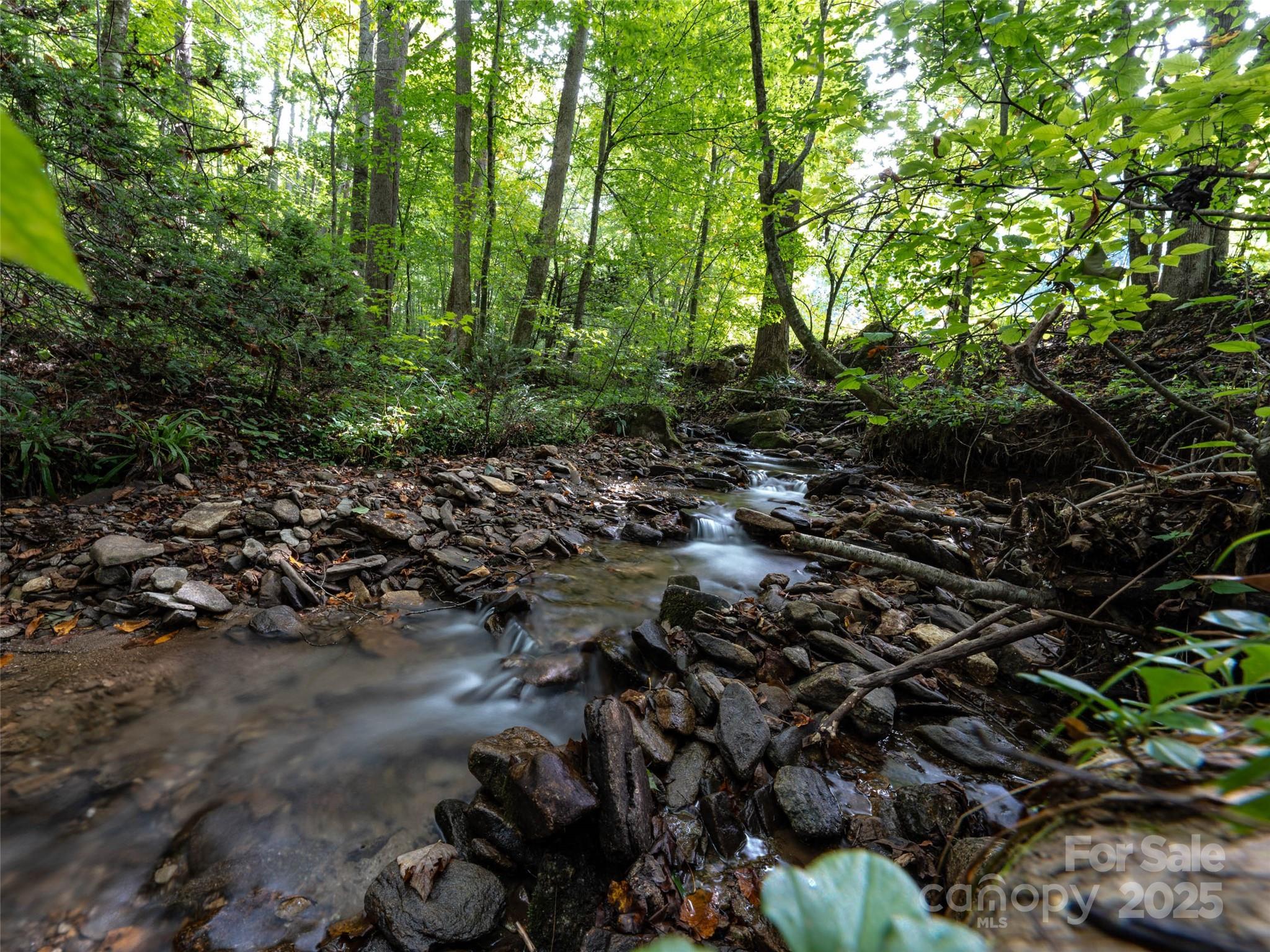 Campbell Woods - Land