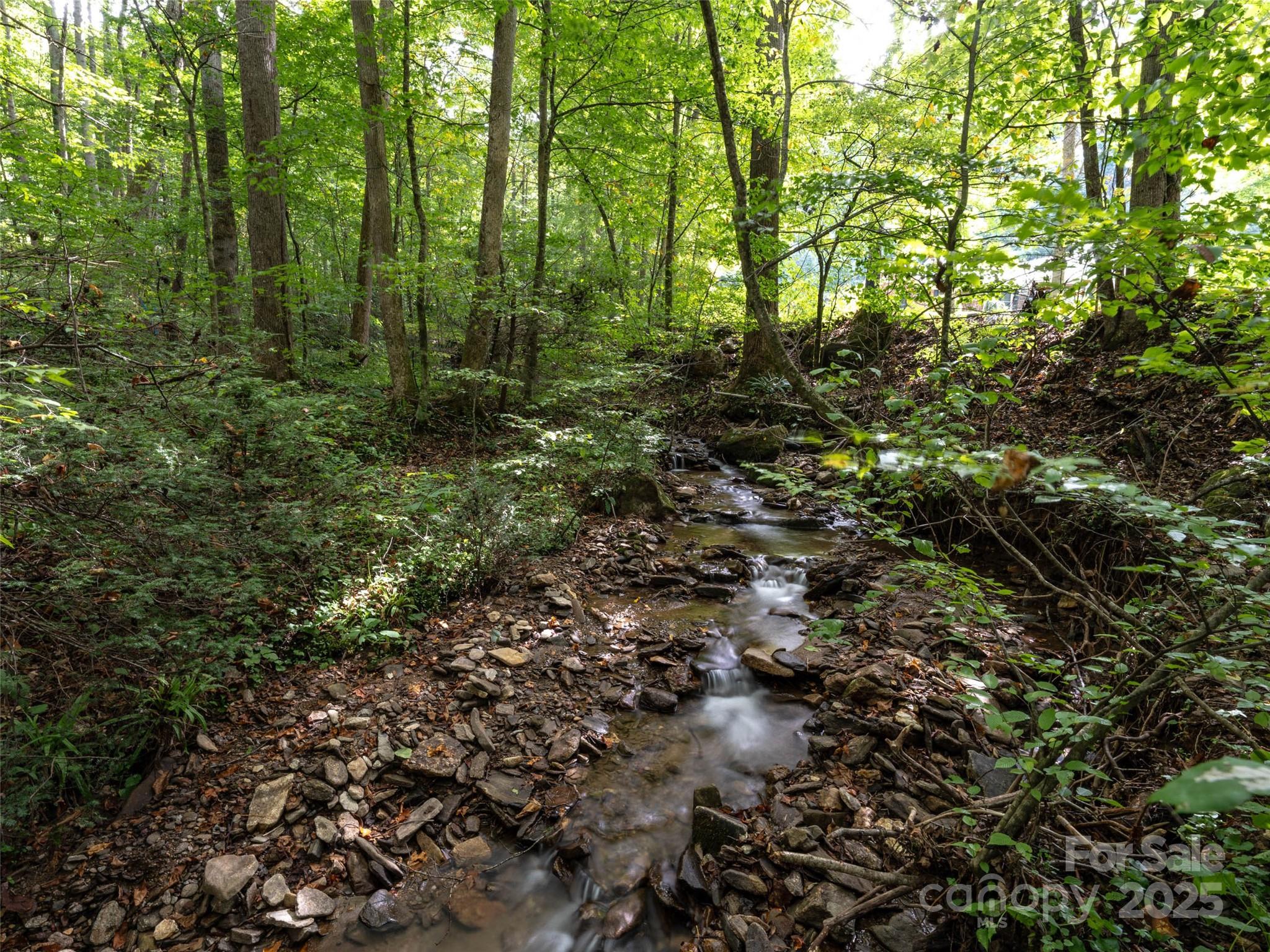 Campbell Woods - Land