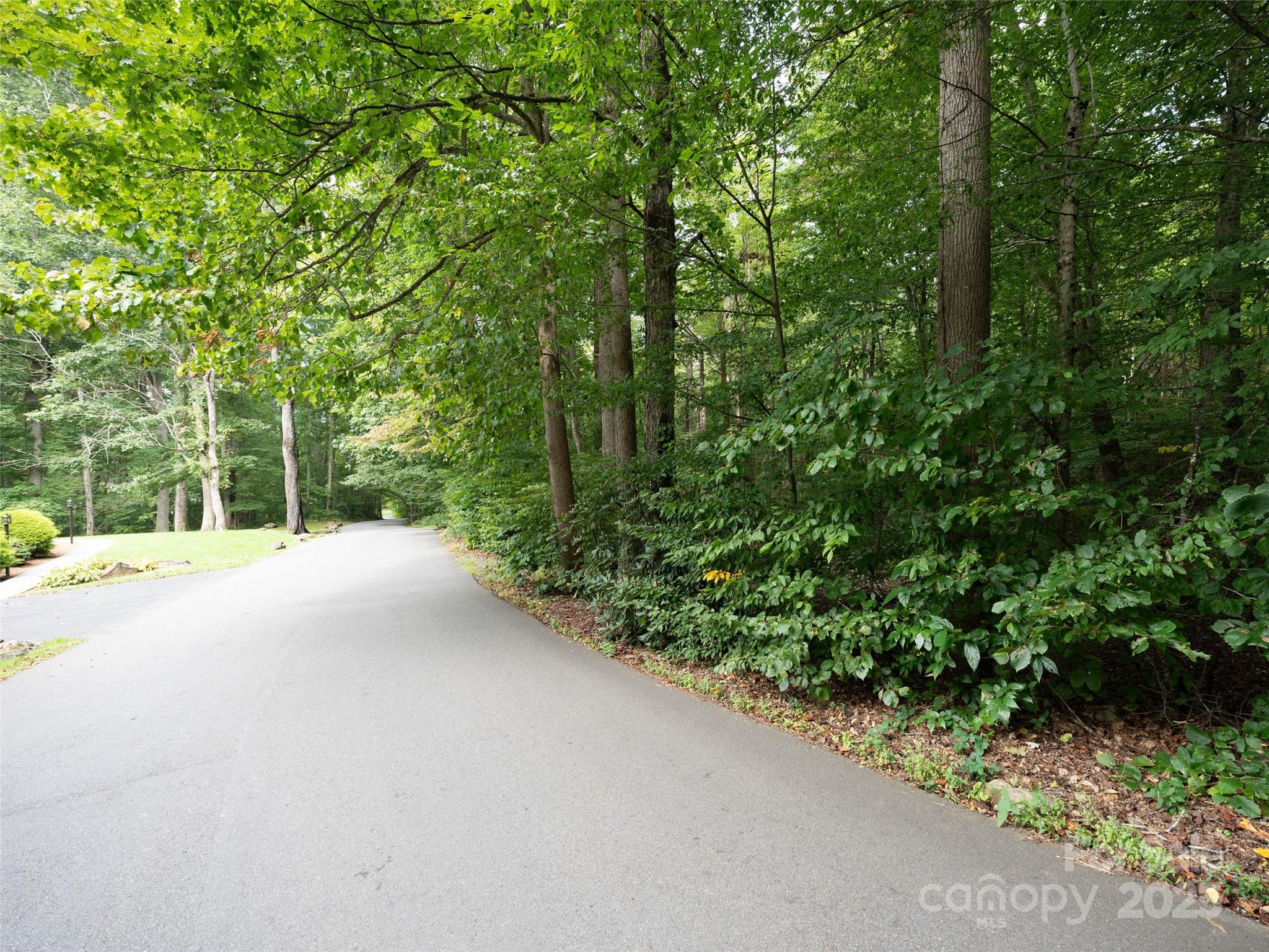 Campbell Woods - Land