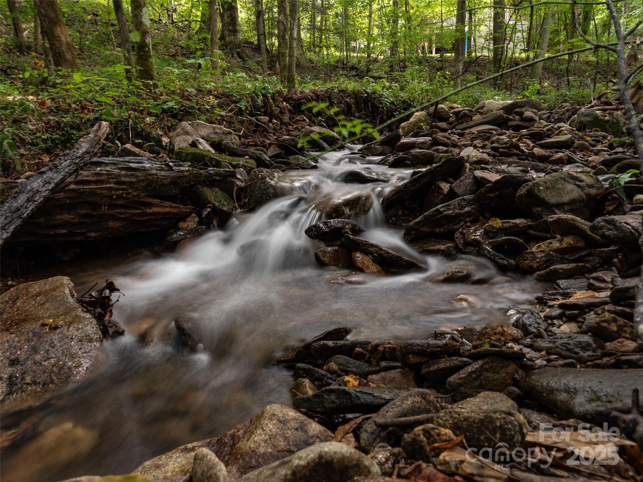 Campbell Woods - Land