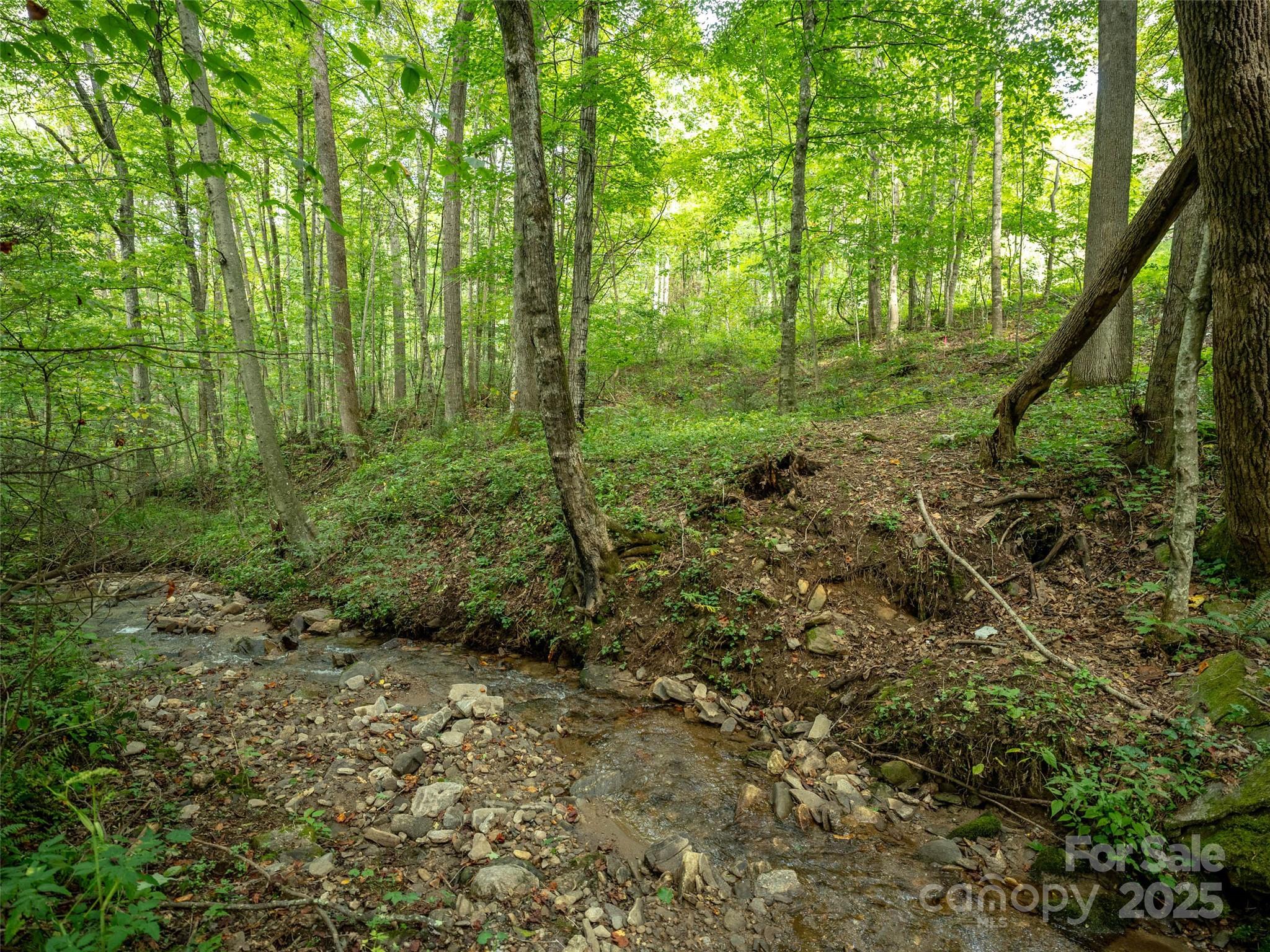 Campbell Woods - Land