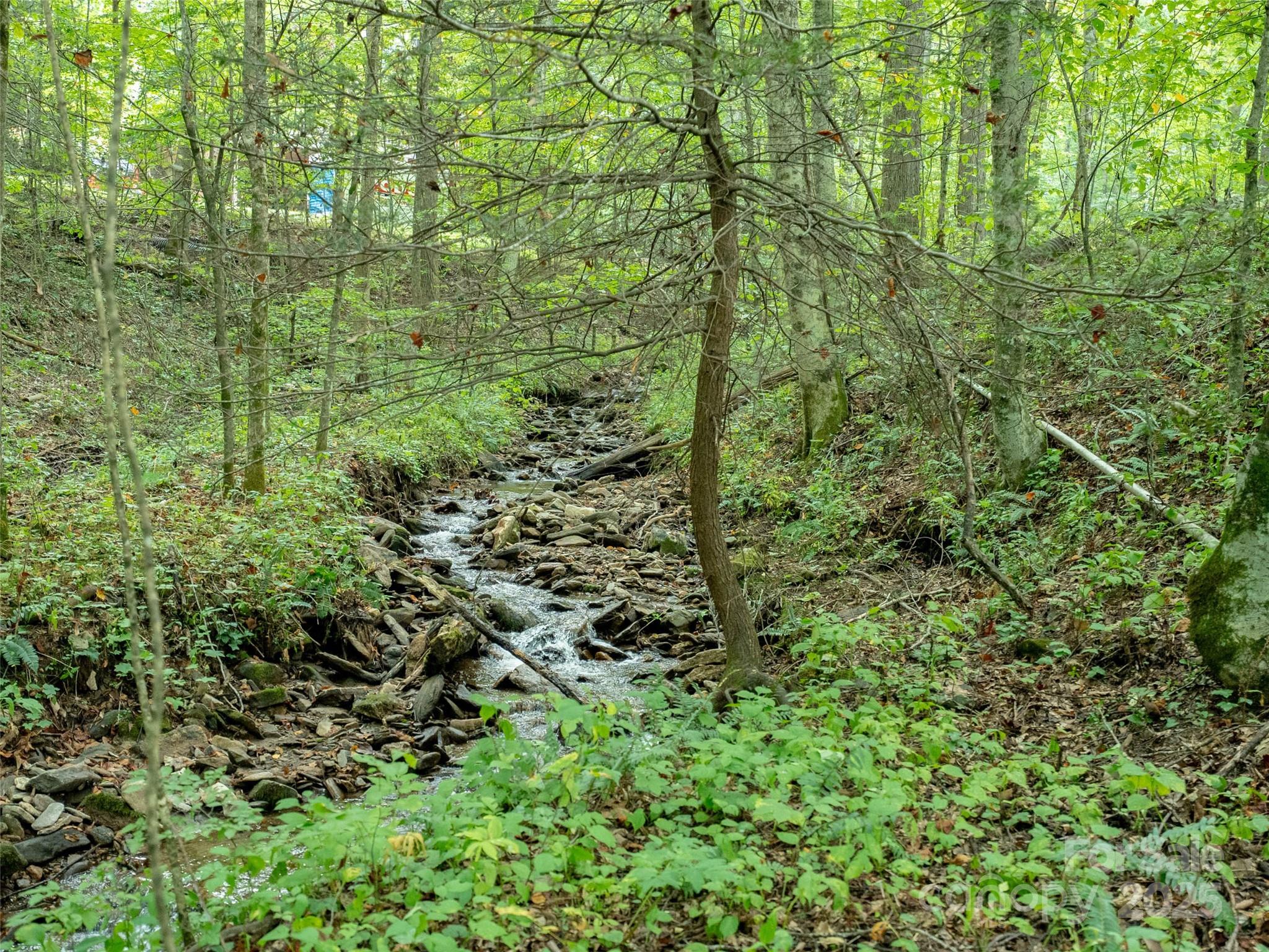 Campbell Woods - Land