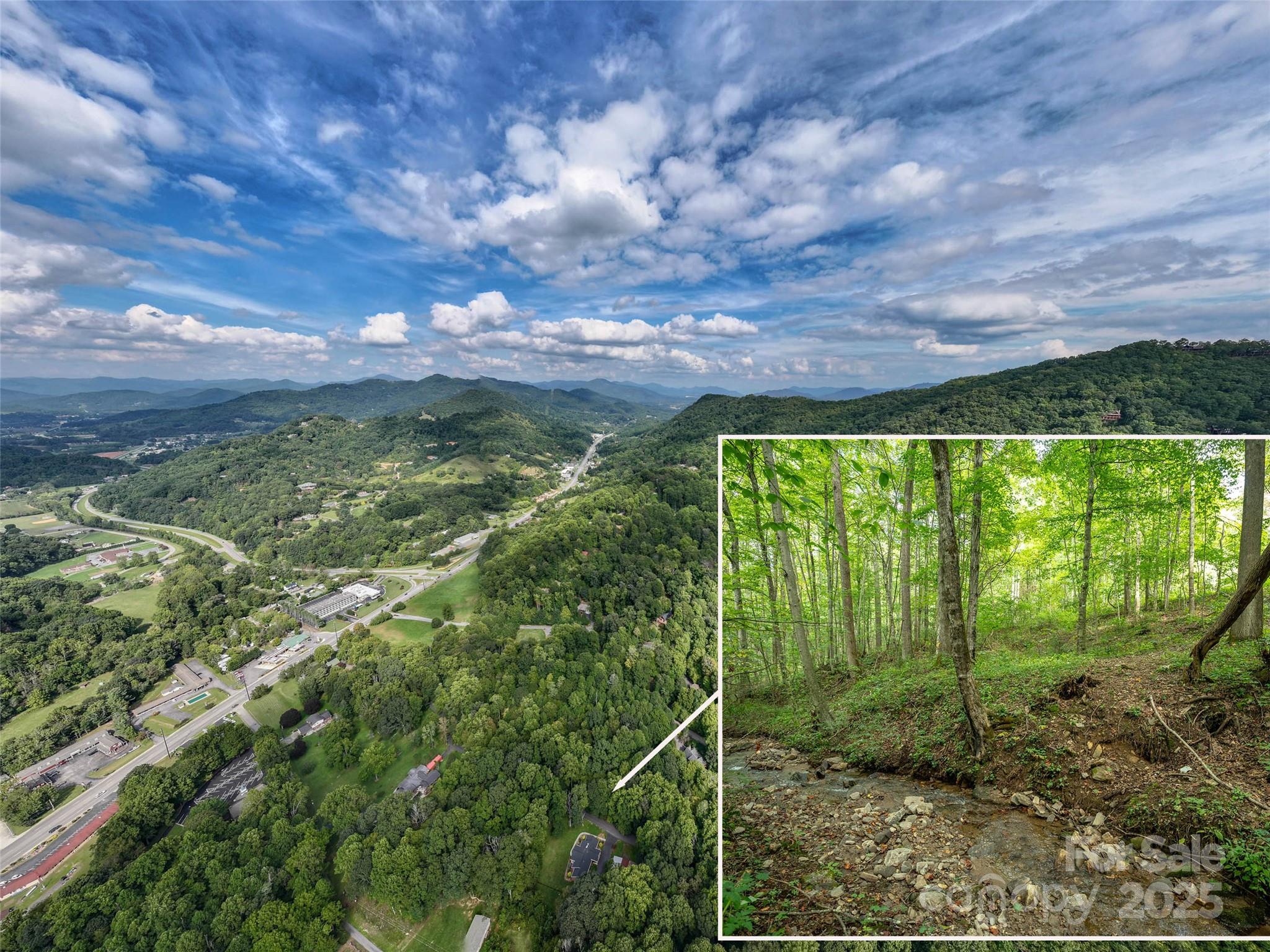 Campbell Woods - Land