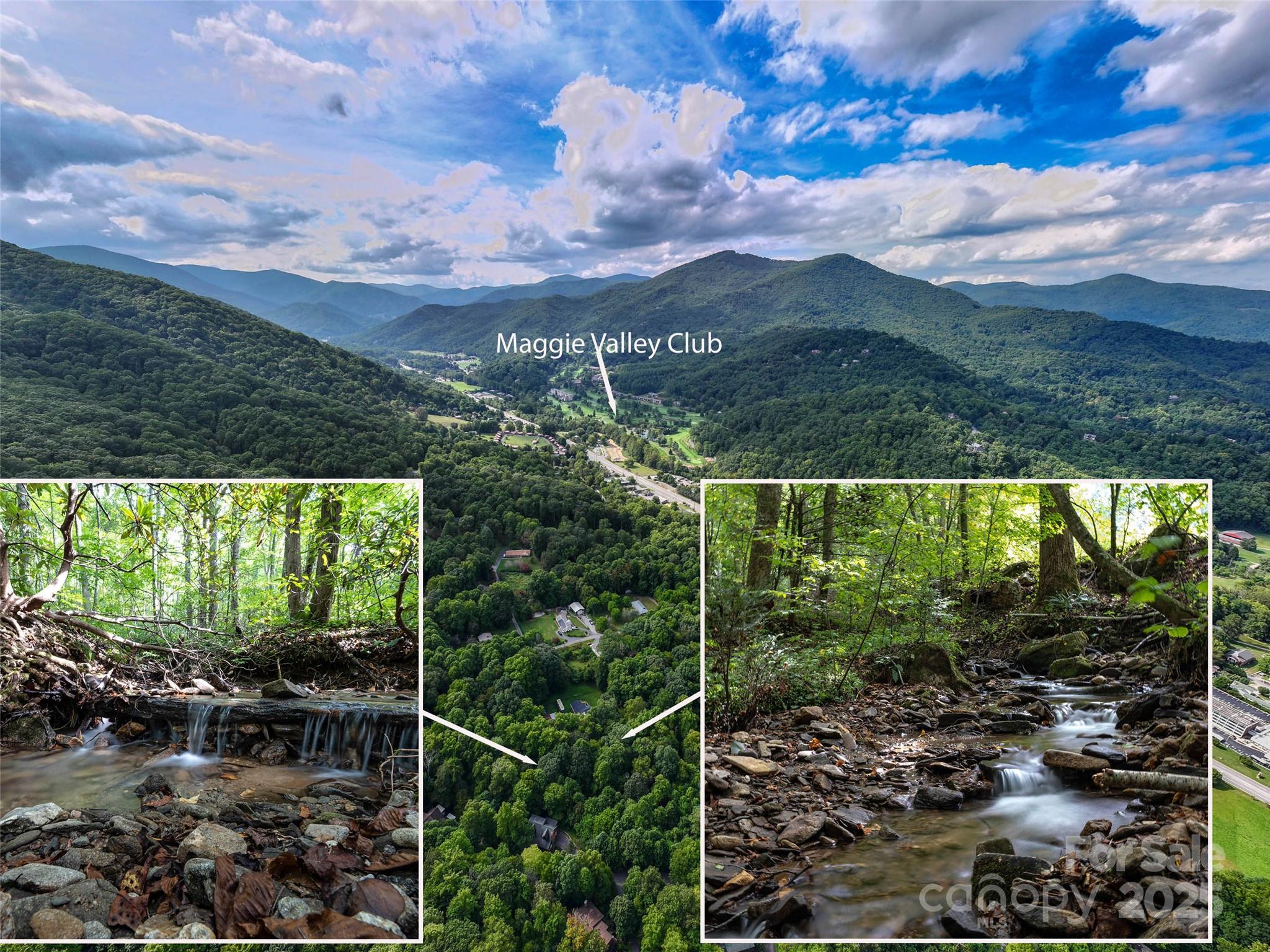 Campbell Woods - Land