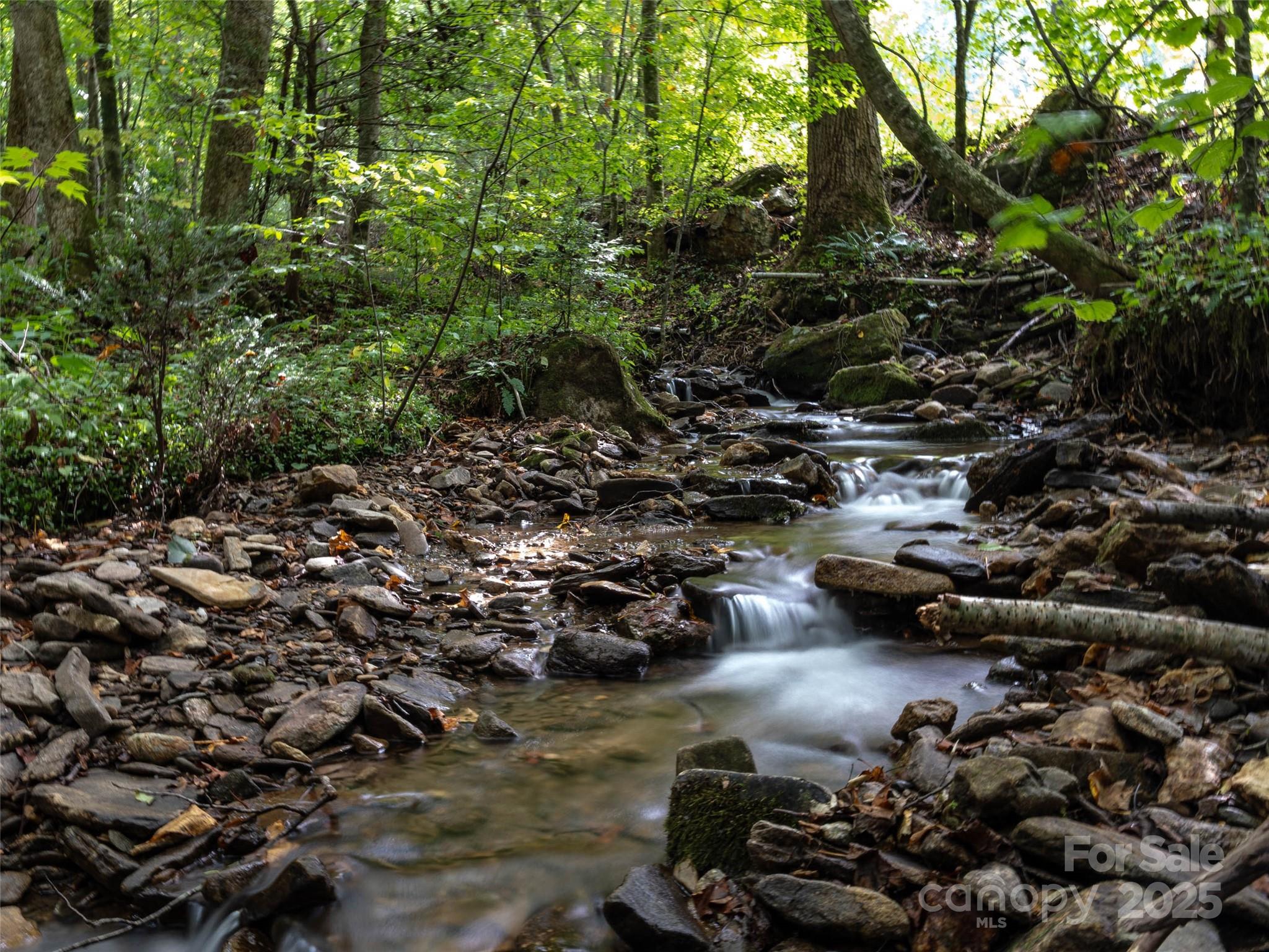 Campbell Woods - Land
