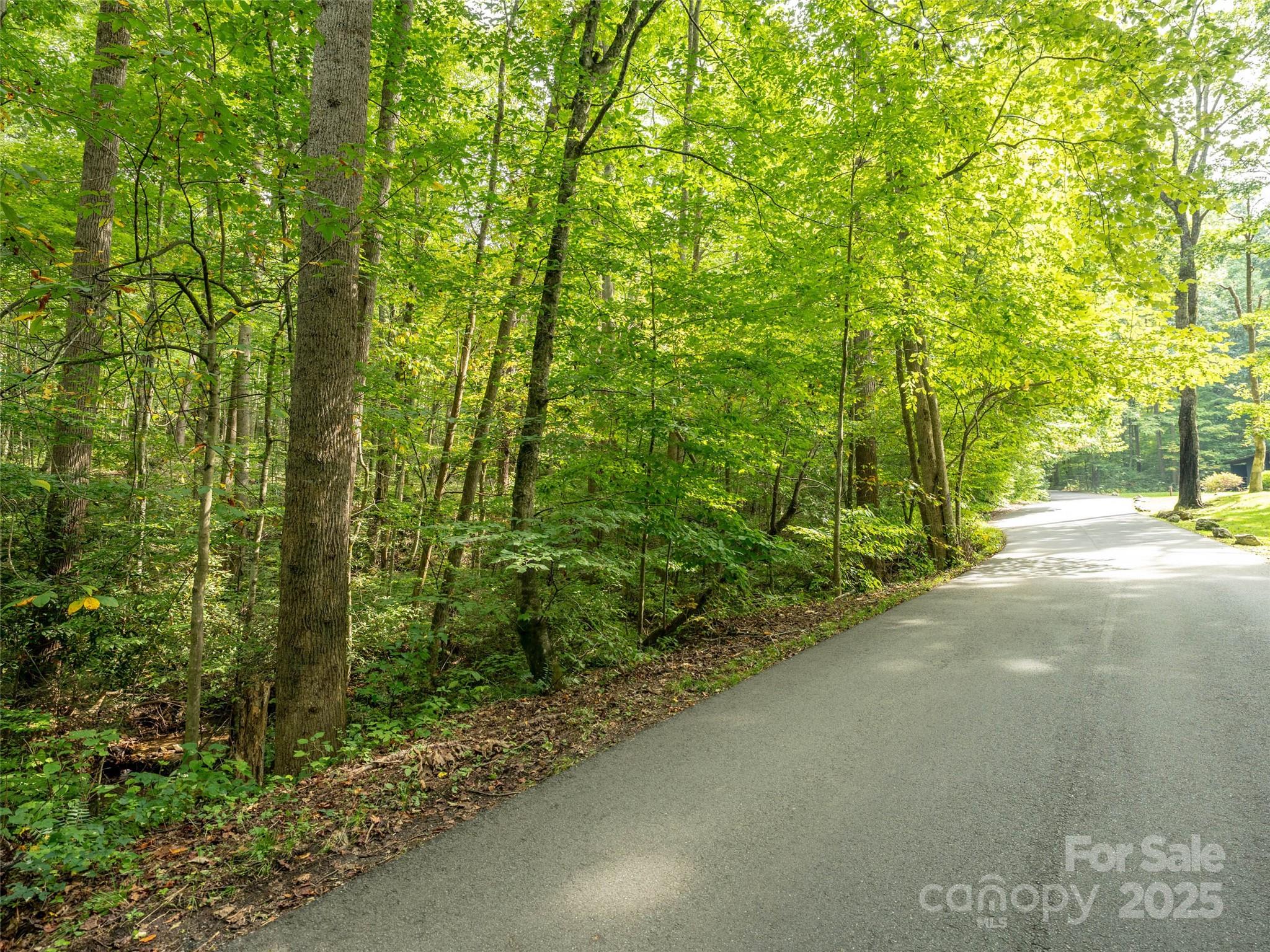 Campbell Woods - Land