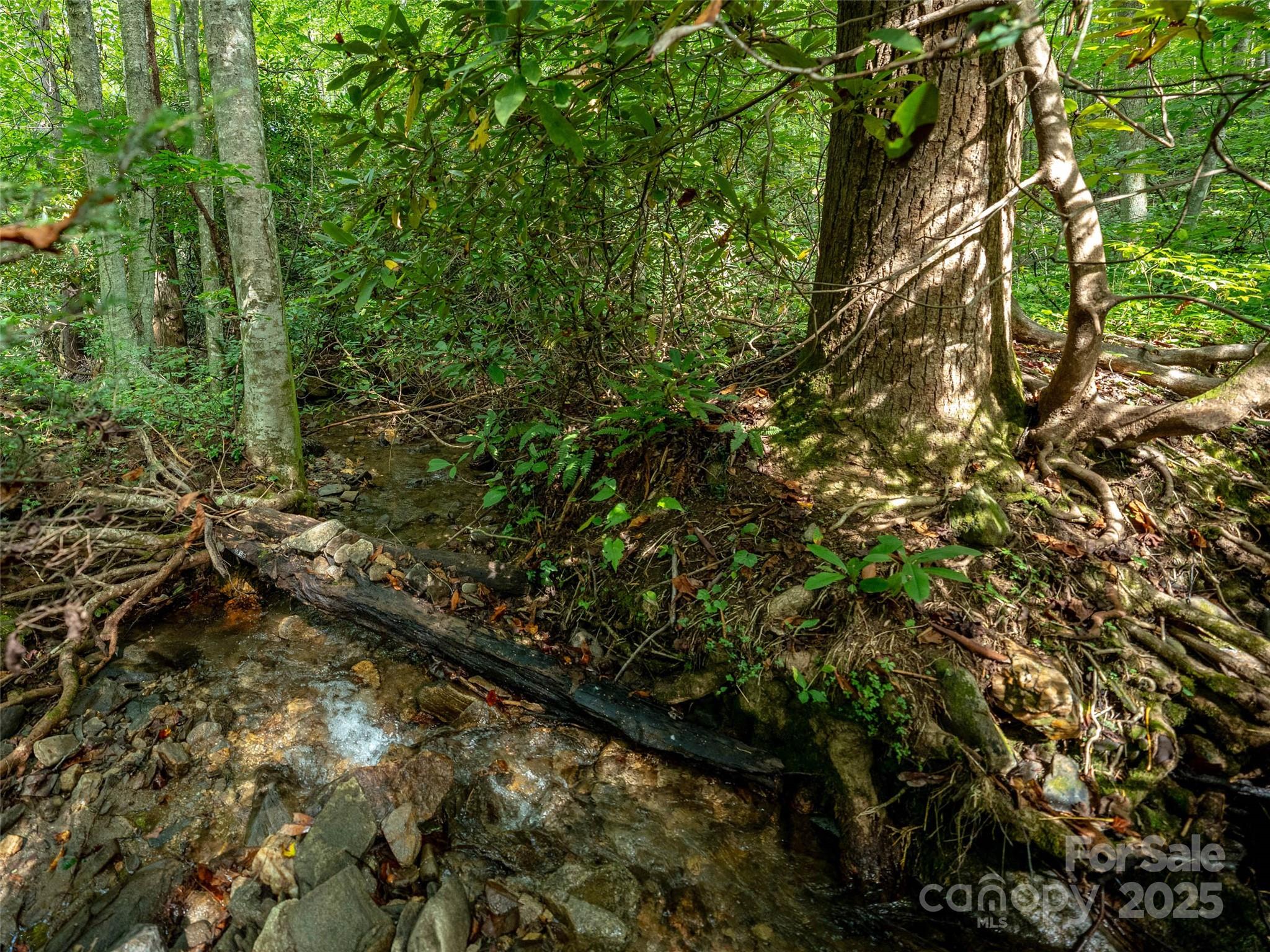 Campbell Woods - Land