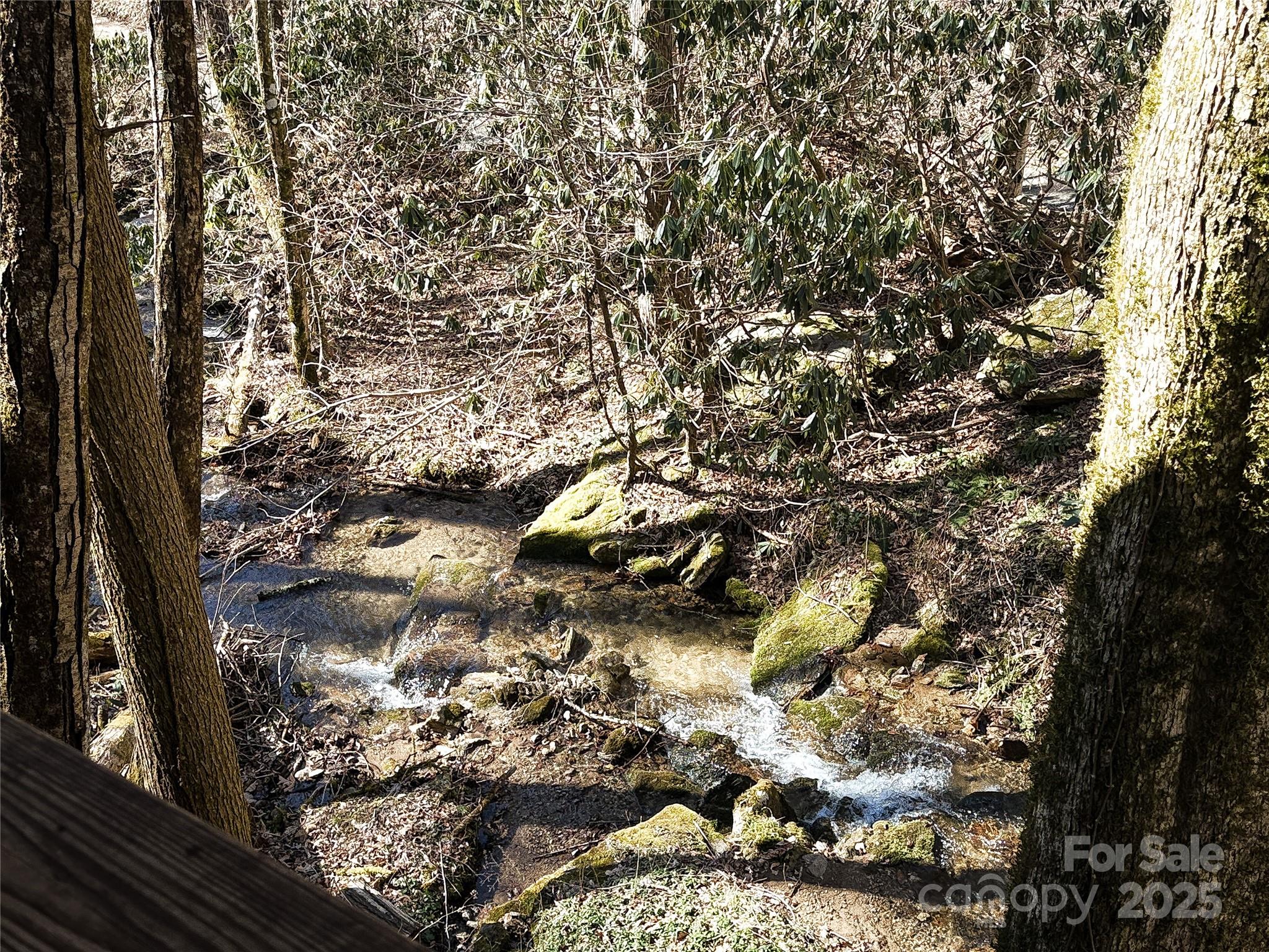 1080 Wolf Branch Road