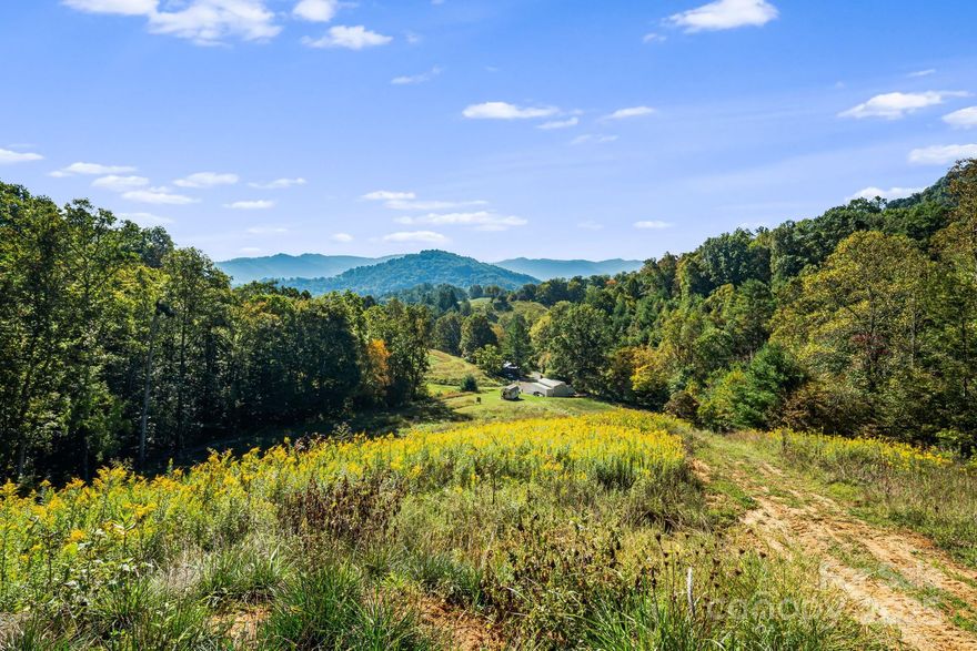 Amazing opportunity to own 90 ± unrestricted acres on desirable Prices Creek Rd just off 19E minutes from downtown Burnsville and 30 minutes from Asheville. Hundreds of thousands of dollars and hundreds of man hours to create this amazing recreational property. All infrastructure in place. Miles of stone and grass roads and clearly marked ATV trails throughout the property. Spring fed ponds, 2 spring fed creeks and watering holes for wildlife. Numerous food plots and entire property planted in clover. 2-bedroom hunting cabin completely refurbished including electric, plumbing, instant hot water heater, and completely furnished. 2-yr old large metal storage building with 2 10X10 doors. 2 45x9.5H containers joined by metal building additional multidoor container for tools. Pictures do not do this property justice. Numerous areas to build your dream home/ranch with amazing mountain views and privacy, or development. Or get a group of friends together and enjoy this turnkey property as is. 1653ft road frontage directly off Maney Branch Rd. All equipment necessary to maintain property and food plots also available.