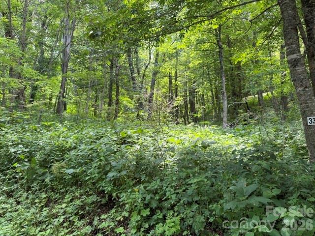 Lot 33 Toi Trail 33