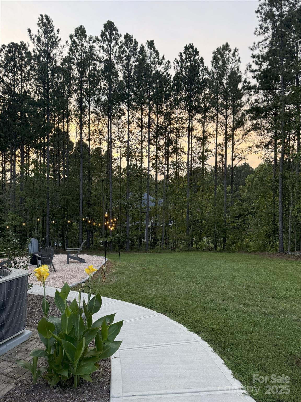 156 Winding Forest Drive