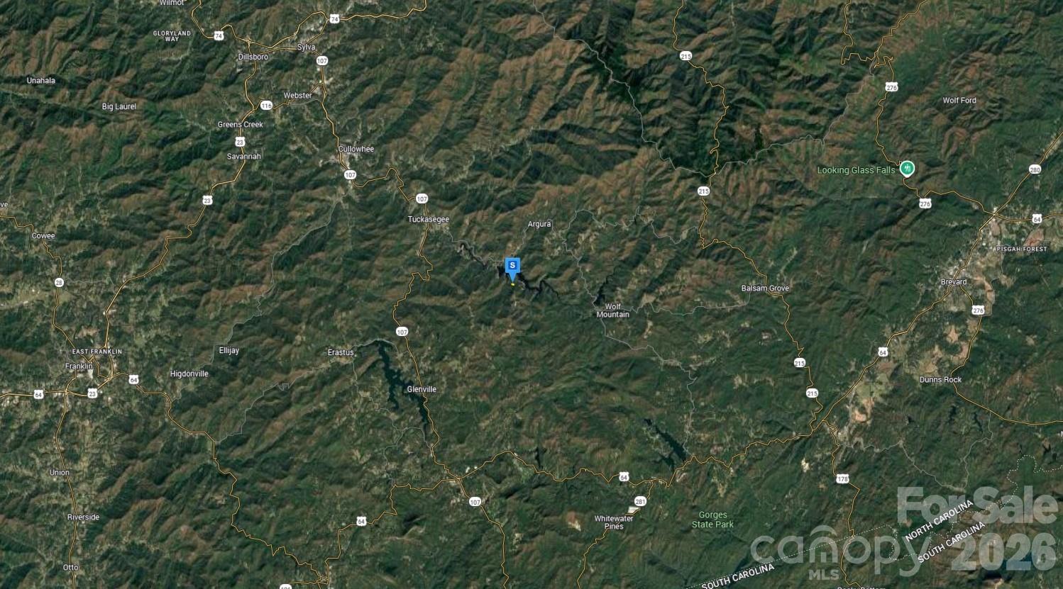 243 Cross Vine Drive