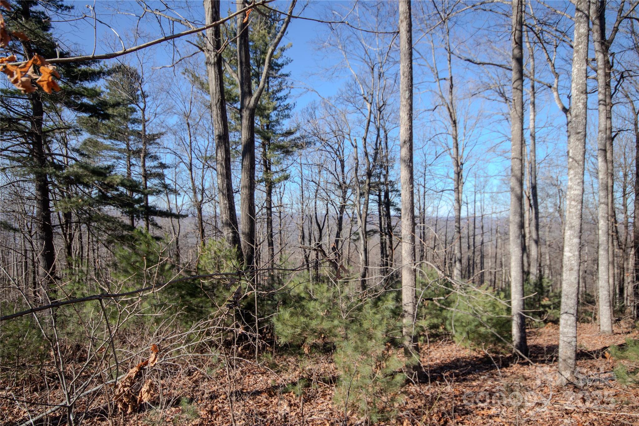 2220 Nighthawk Ridge Court 31