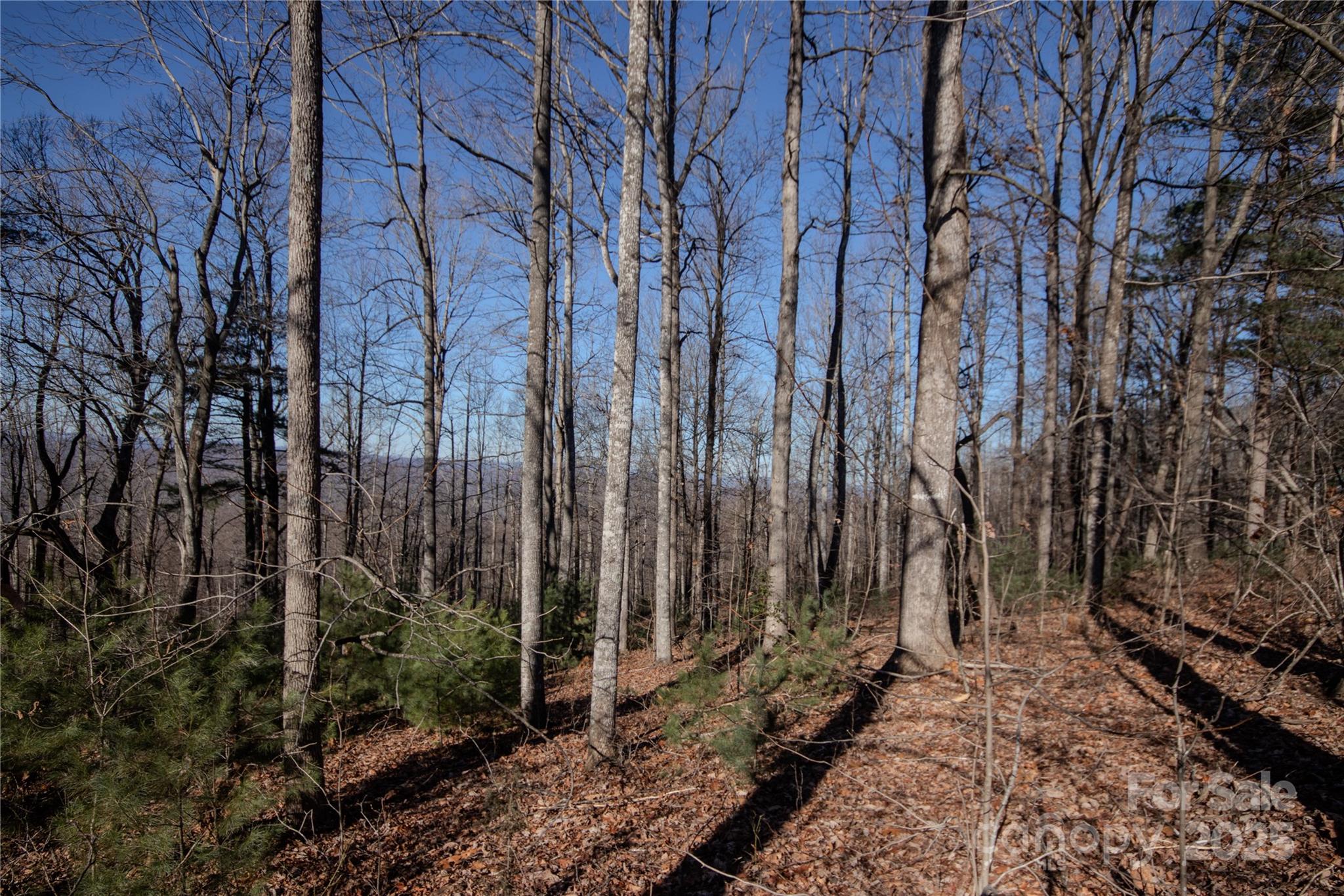 2220 Nighthawk Ridge Court 31