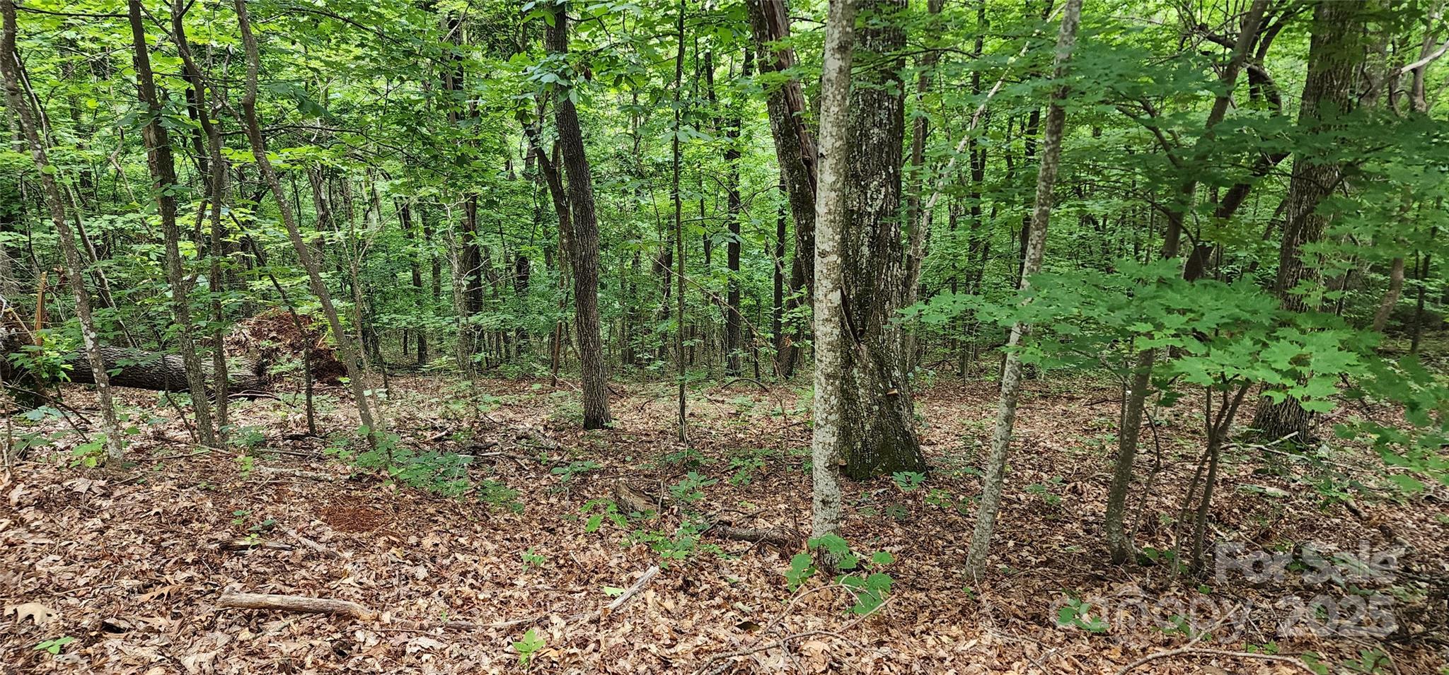 Lot 34 White Oak Mountain Road
