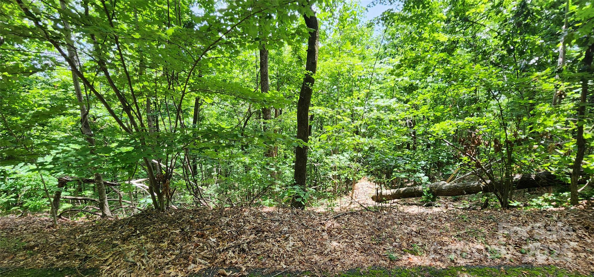 Lot 34 White Oak Mountain Road