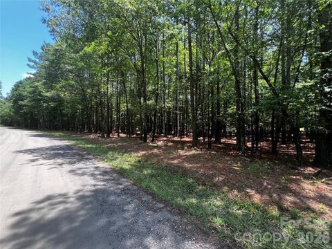 Photo of 00 Sandlapper Drive #B, York, SC 29745 (MLS # 4349807)