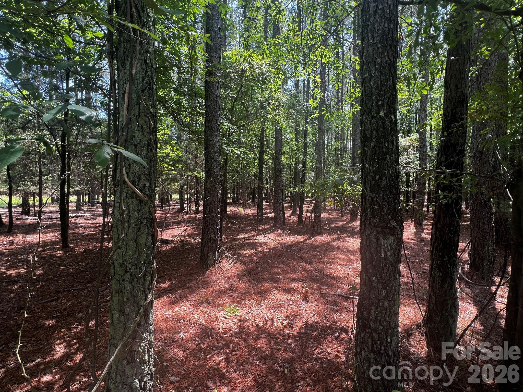 00 Sandlapper Drive B