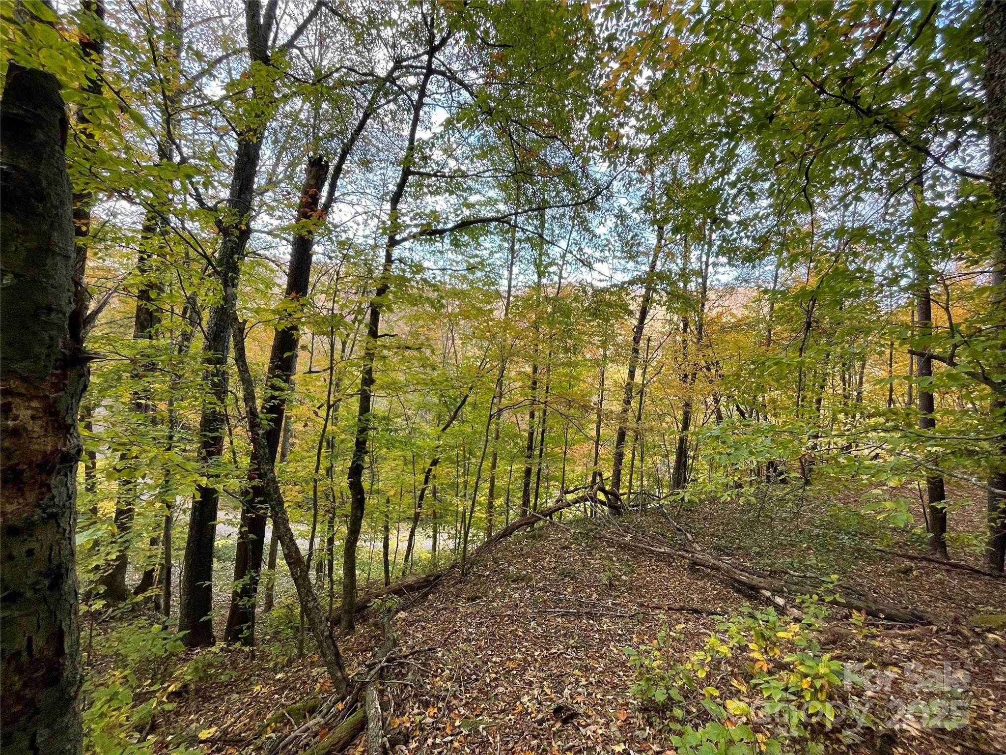 Wolf Laurel Heights - Land