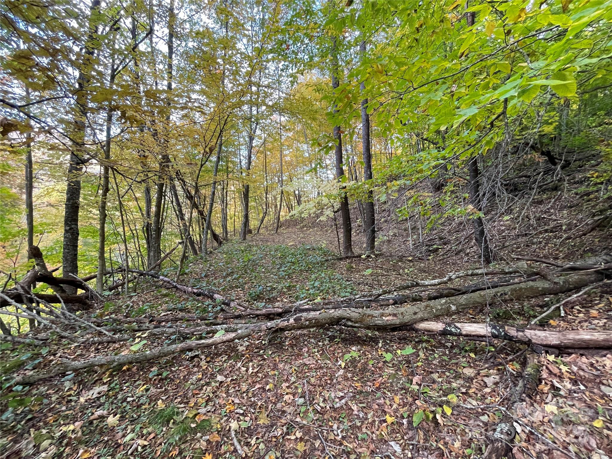 Wolf Laurel Heights - Land