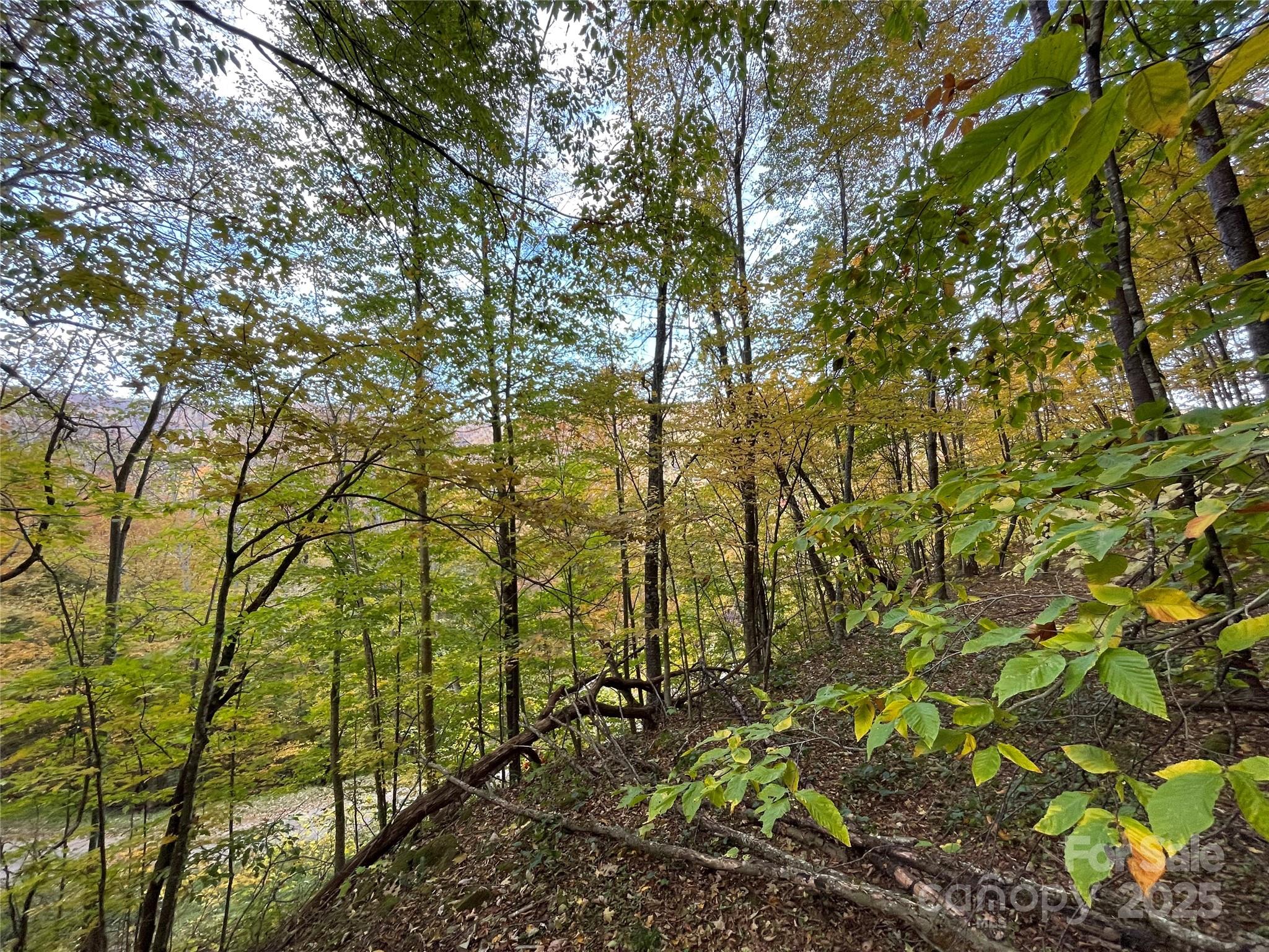 Wolf Laurel Heights - Land