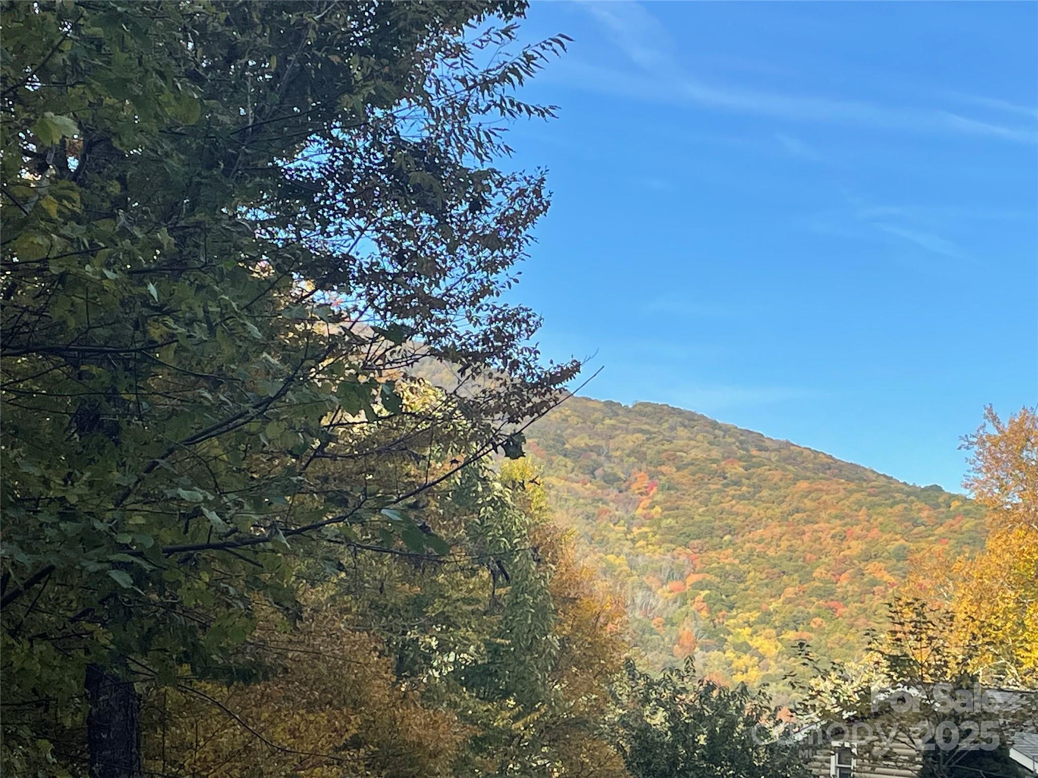 Wolf Laurel Heights - Land