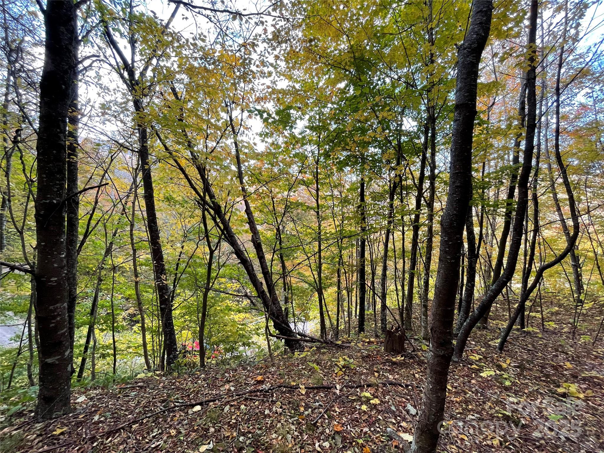 Wolf Laurel Heights - Land