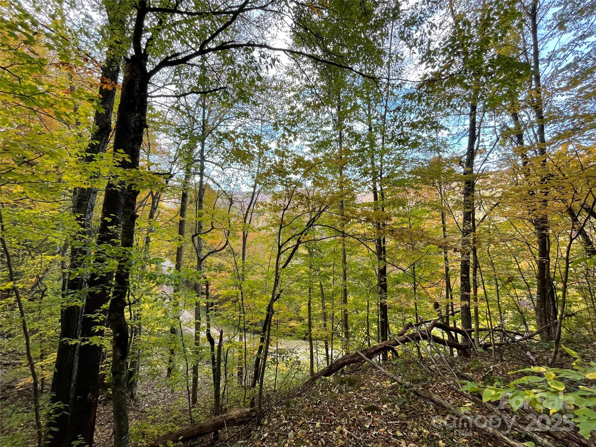 Wolf Laurel Heights - Land