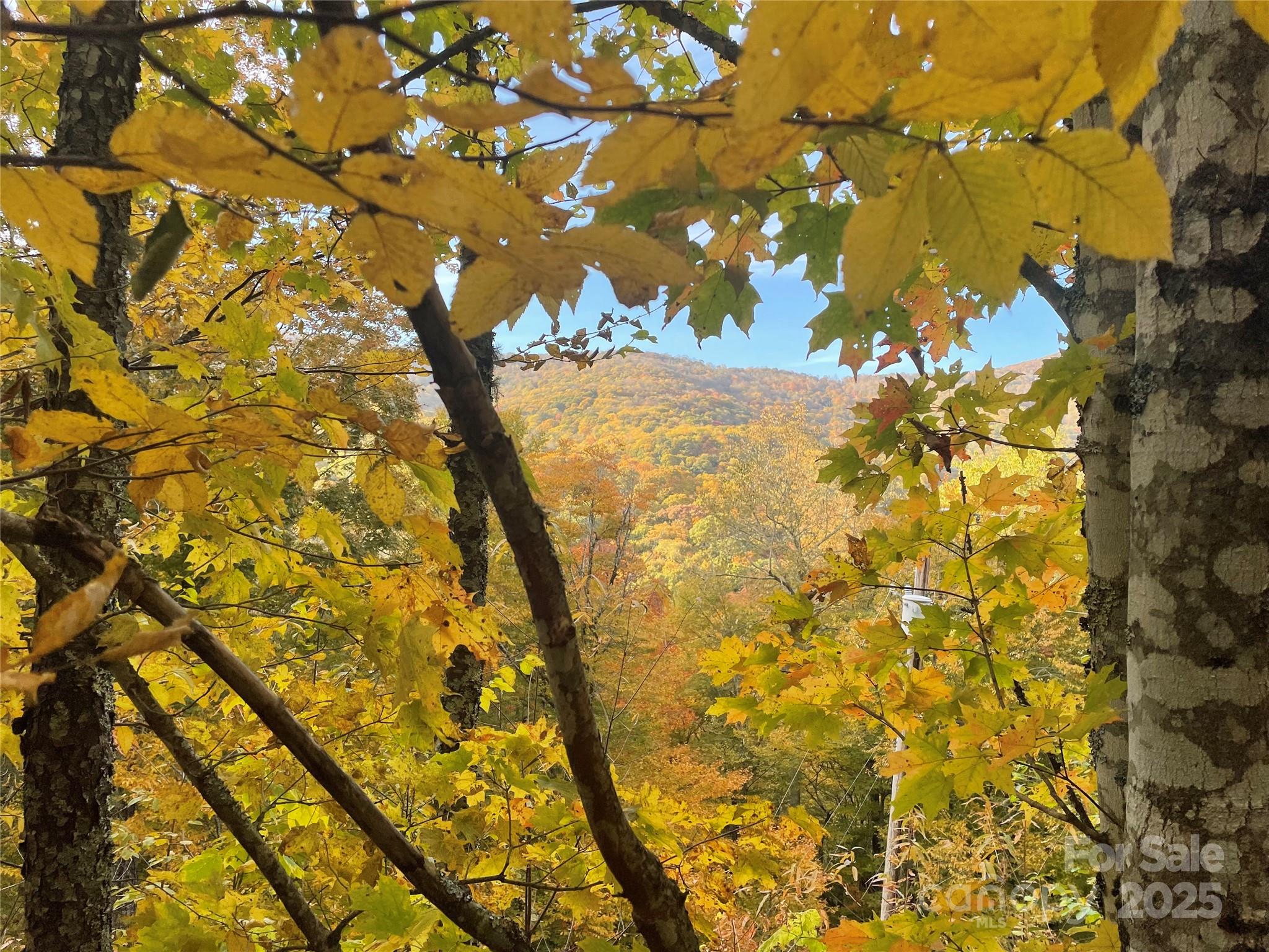 Wolf Laurel Heights - Land