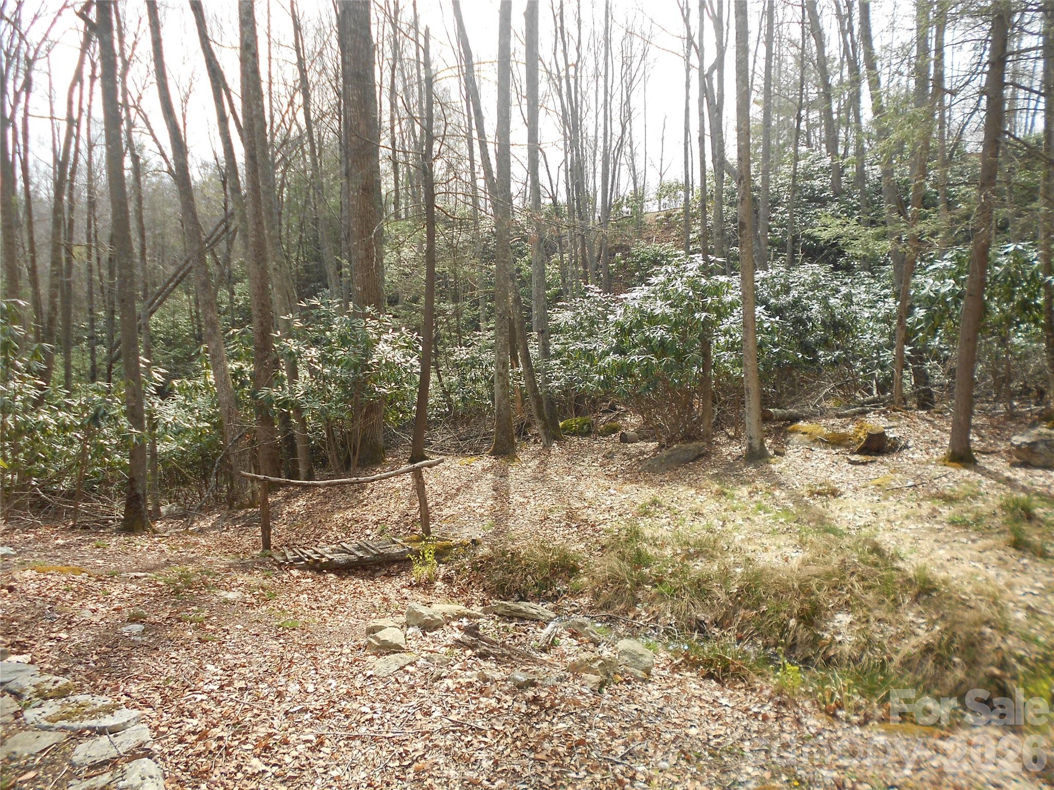 Headwaters at Banner Elk - Land