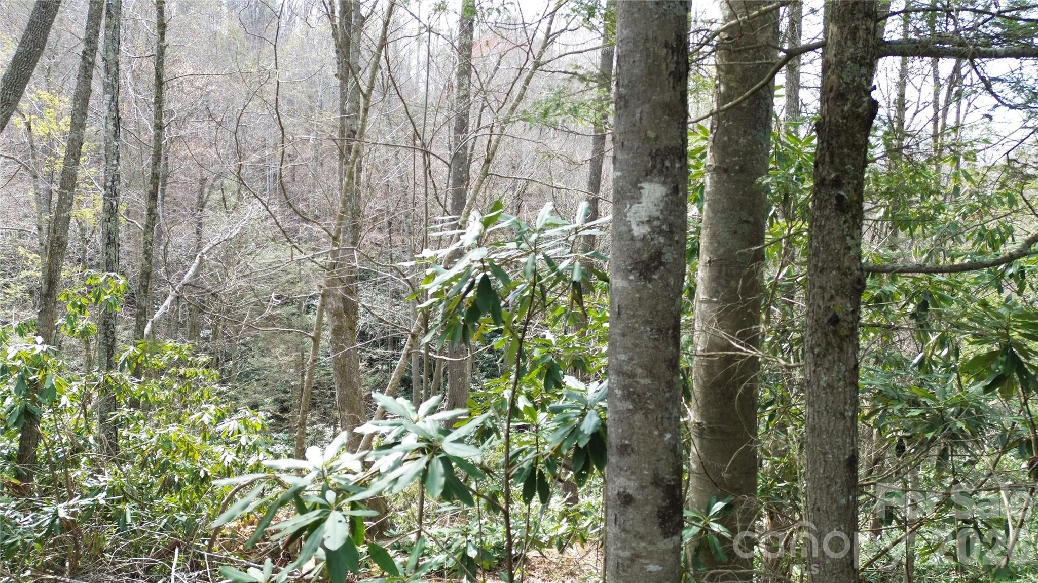 Headwaters at Banner Elk - Land