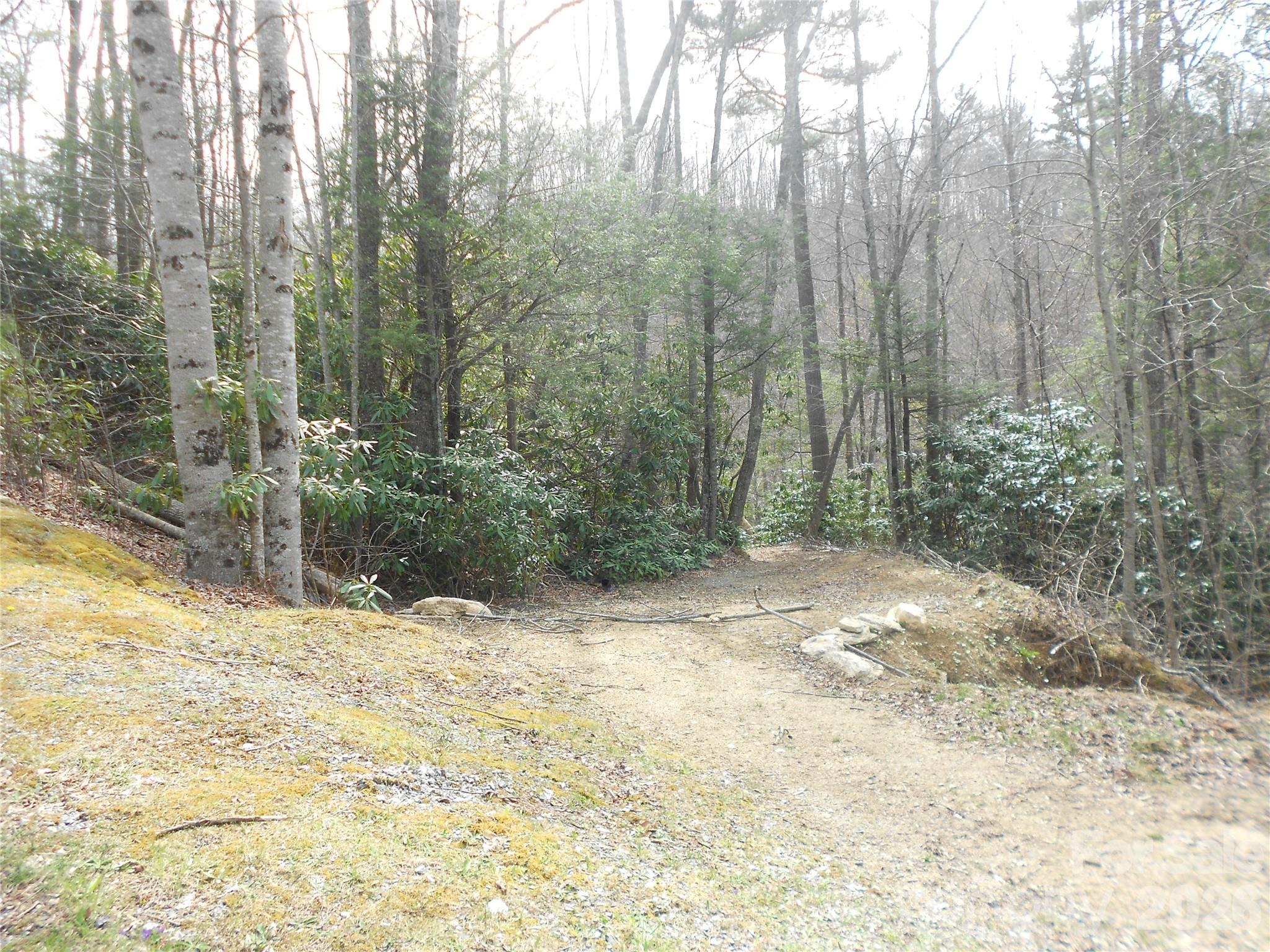 Headwaters at Banner Elk - Land