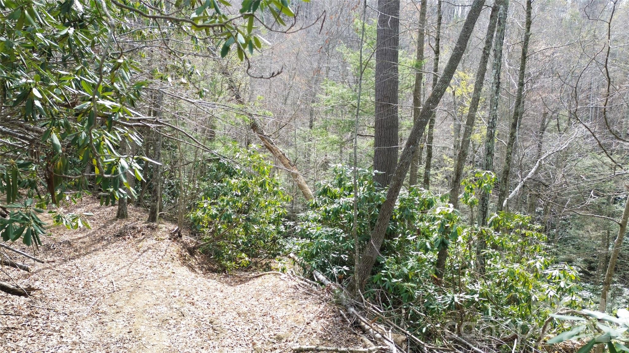 0000 Woodlake Loop Road