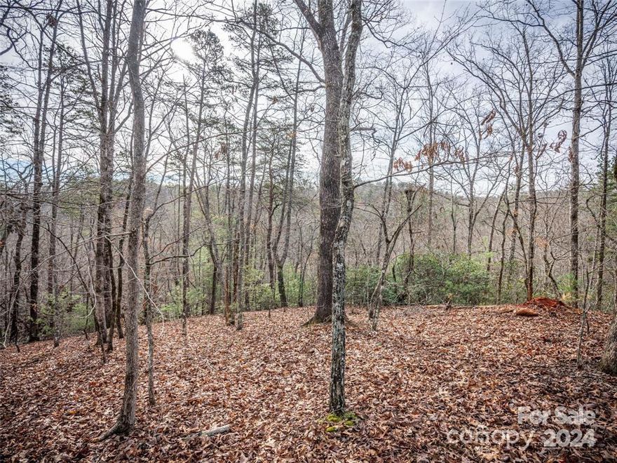 Nice building lot located in Riverbend at Lake Lure.  This lot is in section 5, so entrance to this section is beside Lake Lure Baptist Church.  Lot is approximately .69 acres, and was recently issued a three bedroom septic permit.  Riverbend offers a great year round location for a permanent residence or vacation home.  Short term rentals are allowed and minimum square feet to build is only 1,000.  The yearly dues at Riverbend is $650.  Amenities include two private lakes for fishing and swimming, and the Broad River for kayaking and rafting, hiking trails, and a private beach area with a picnic pavilion.   Lot requires minimal clearing for building.  Conveniently located close to Chimney Rock State Park and many points of interest in Western NC.  Centrally located to 3 airports in Asheville, Charlotte, and Greenville, SC.
