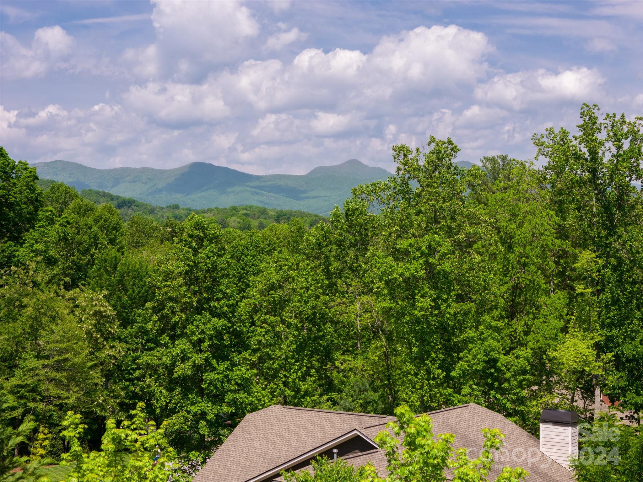 Biltmore Lake - Residential