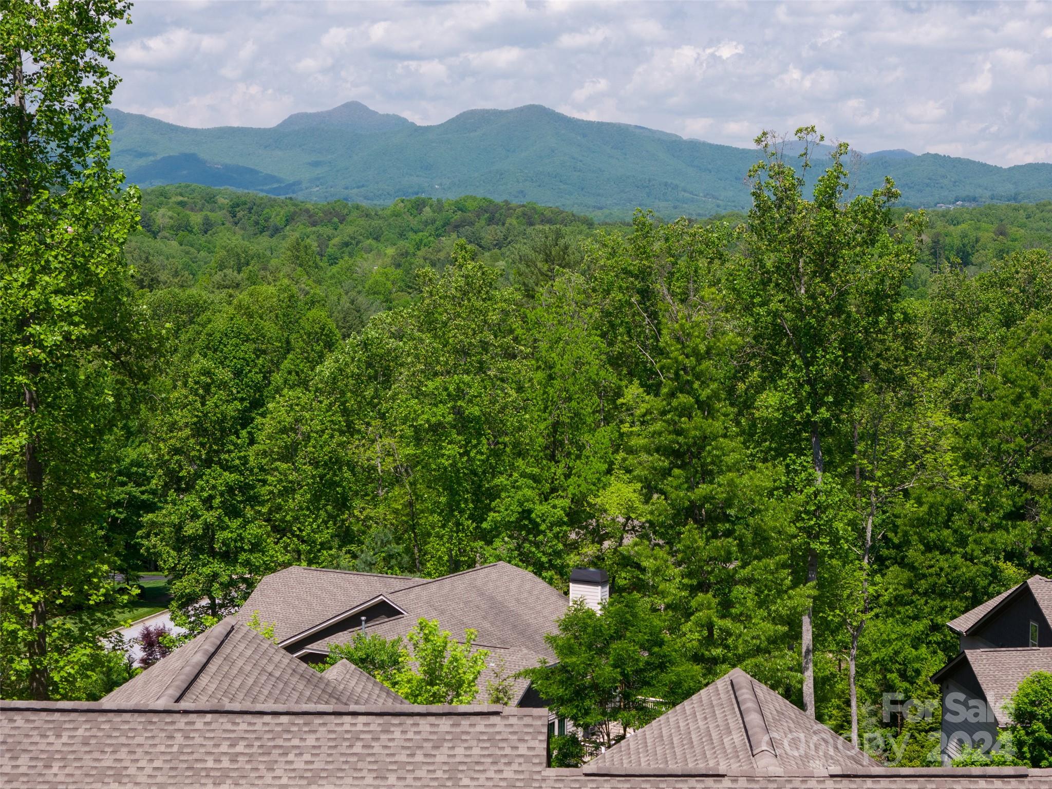 Biltmore Lake - Residential