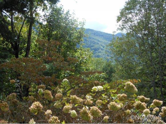 Maggie Valley Country Club Est - Residential