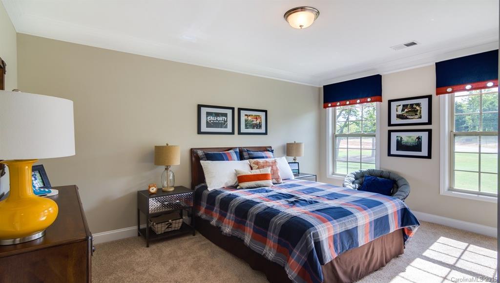 The Vineyards on Lake Wylie - Residential