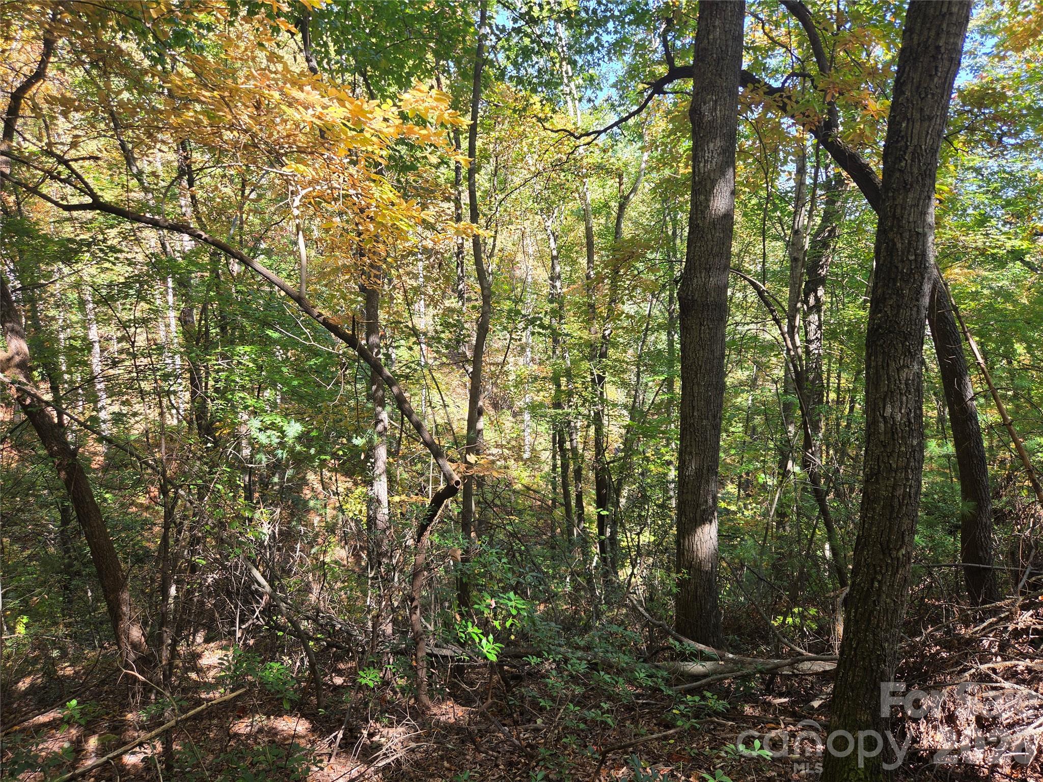 29 Elk Ridge Road EH 29