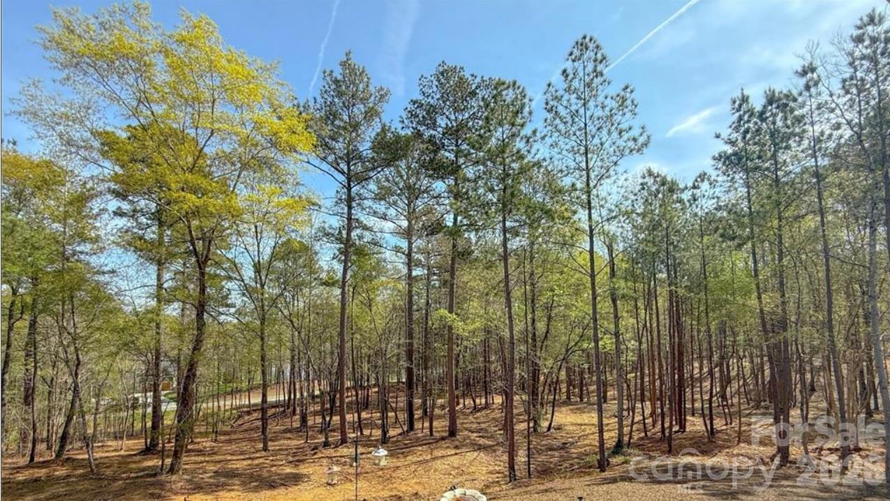 CATAWBA COVE - Residential