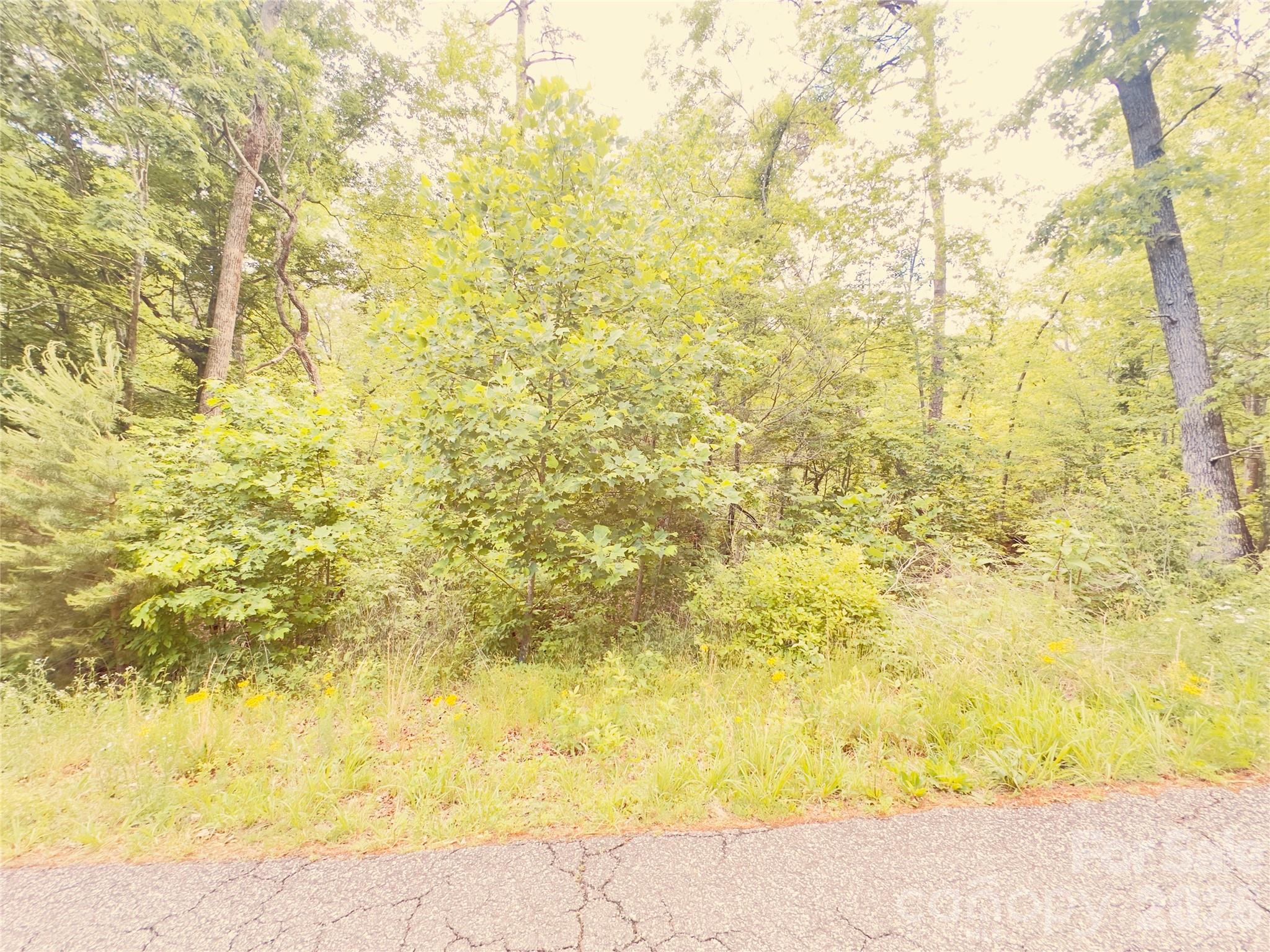 CedarBrook - Land