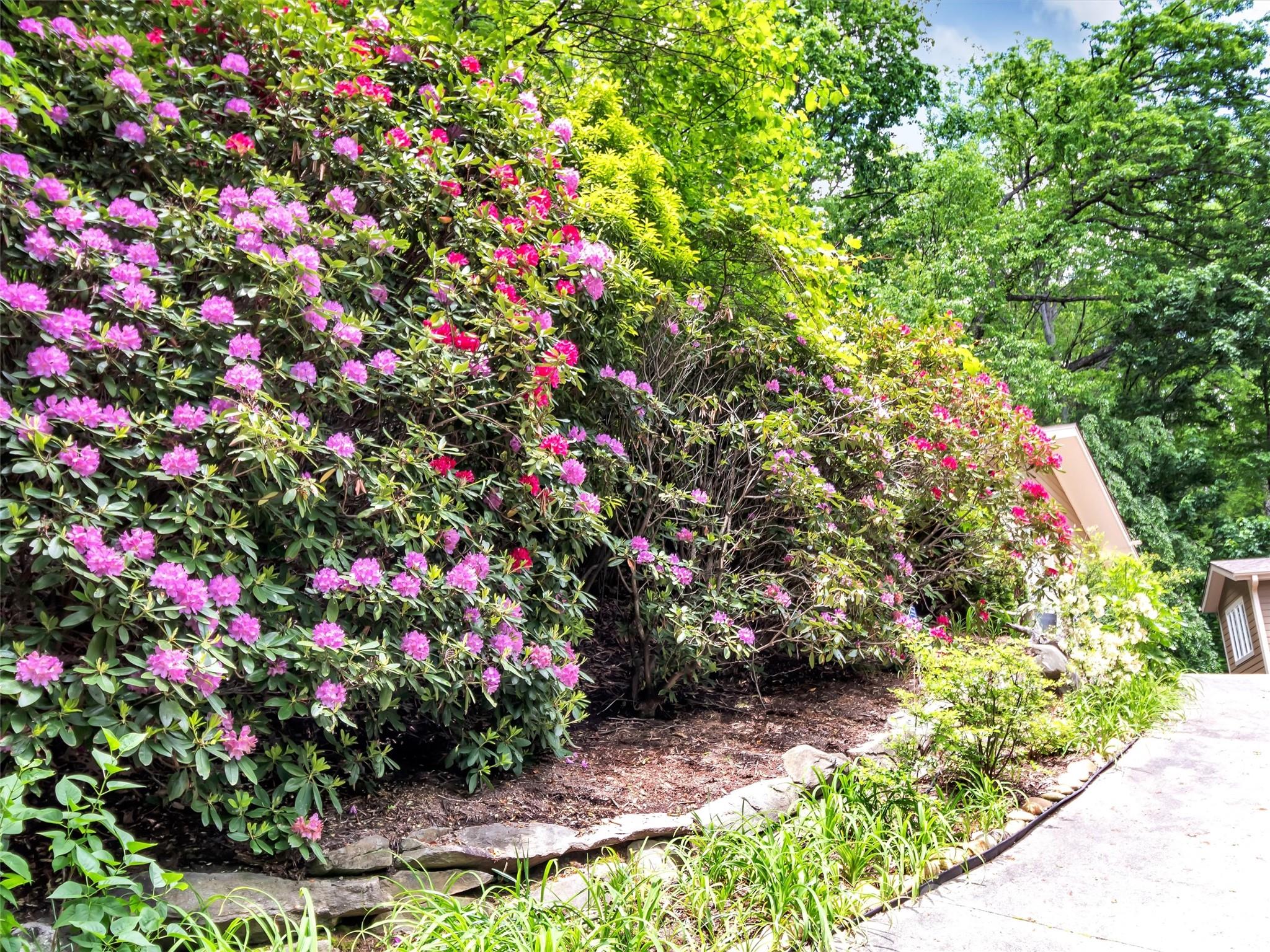 Laurel Ridge Country Club - Residential