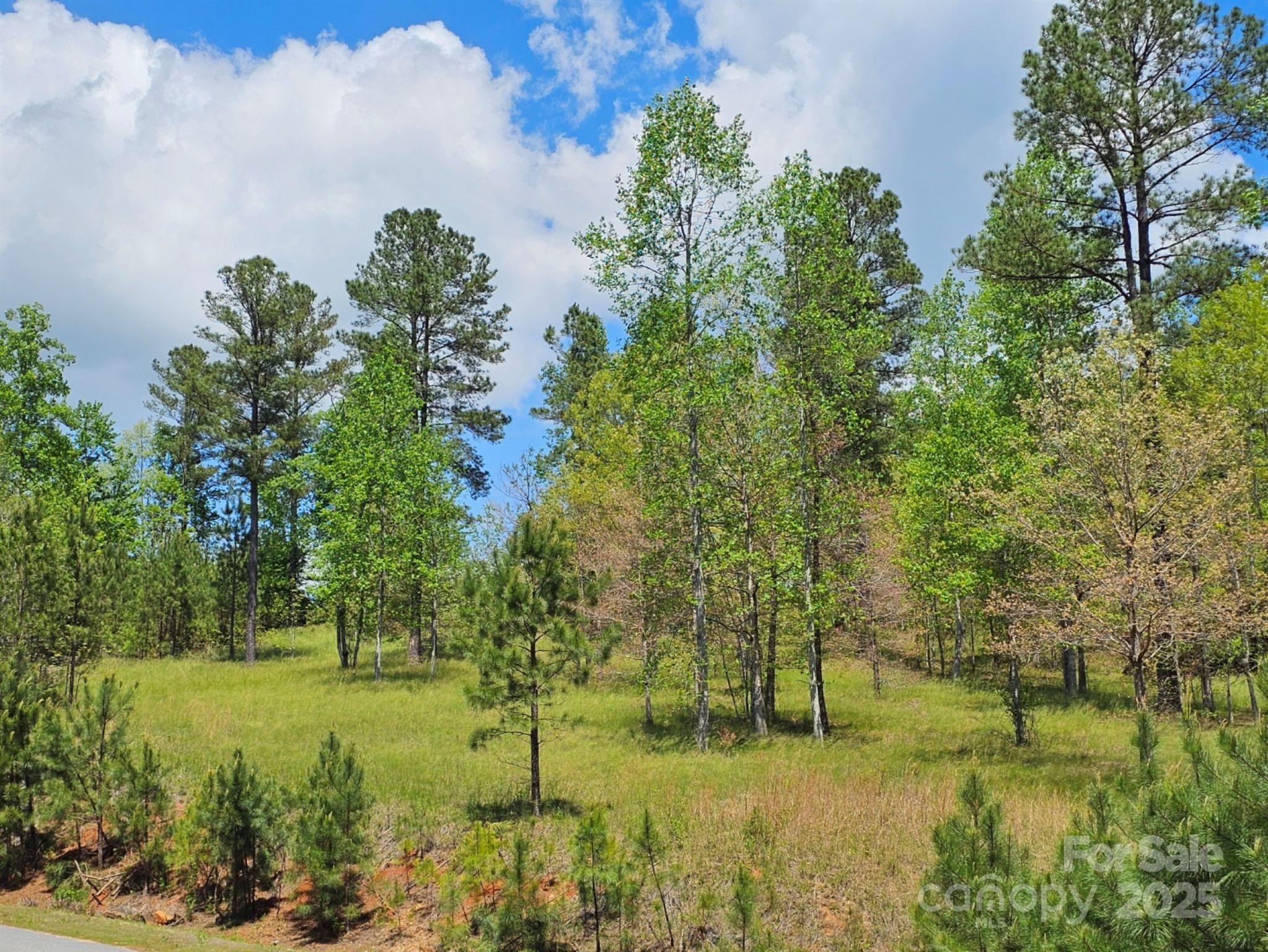 Island Pointe at Lake Vistas - Residential