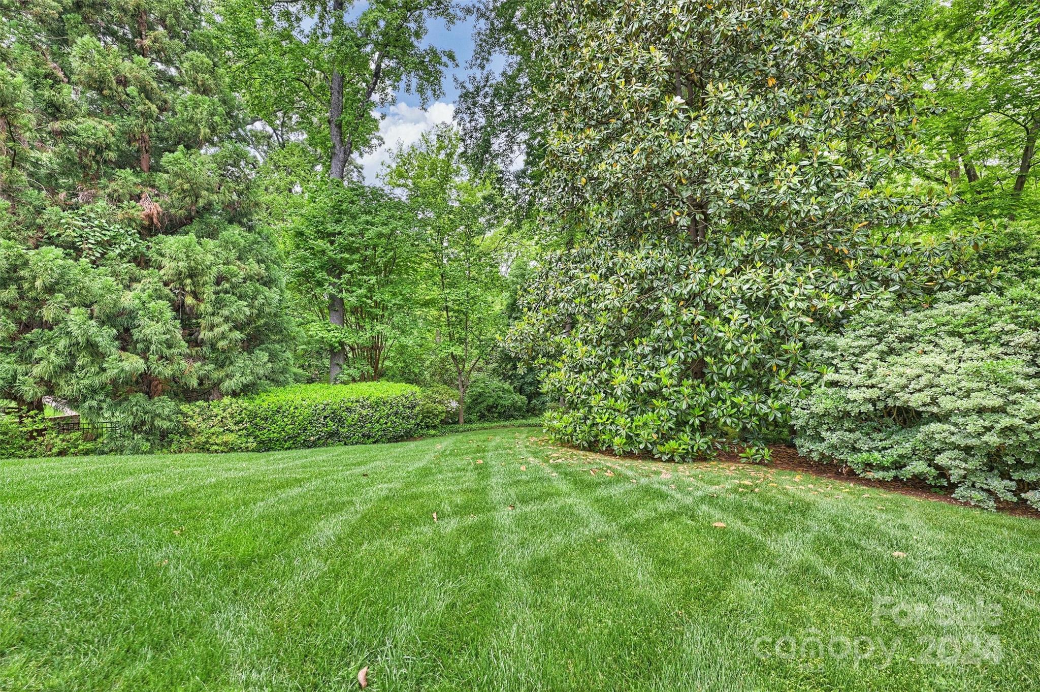 Myers Park - Residential